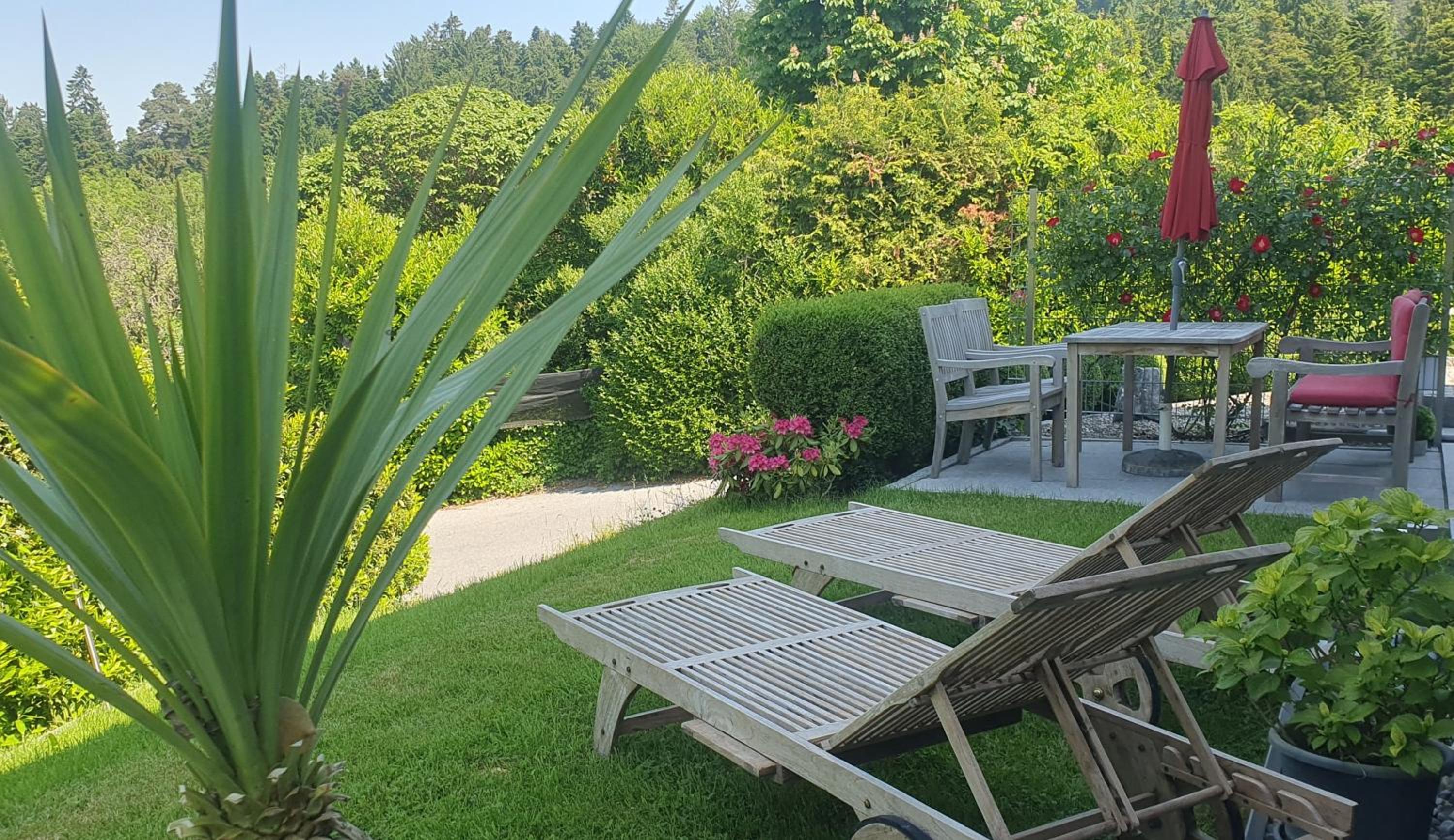 F E R I E N W O H N U N G "Am Halbenstein" view 4