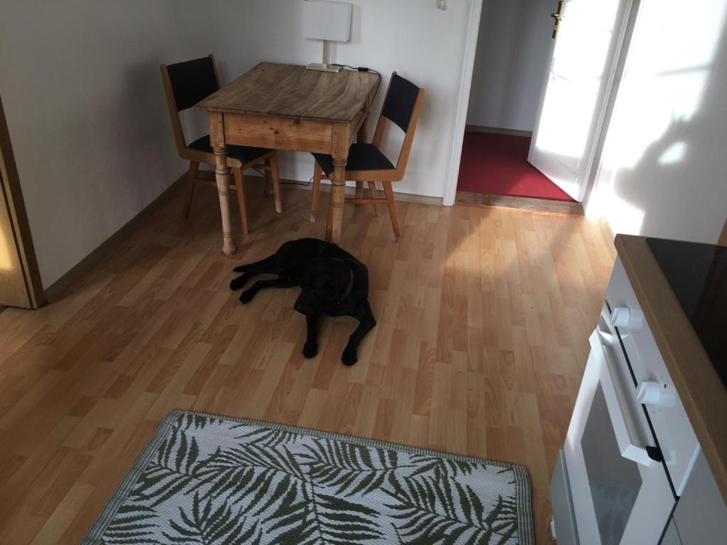 Gemütliche Ferienwohnung für 3 Personen im Schloss Kastorf