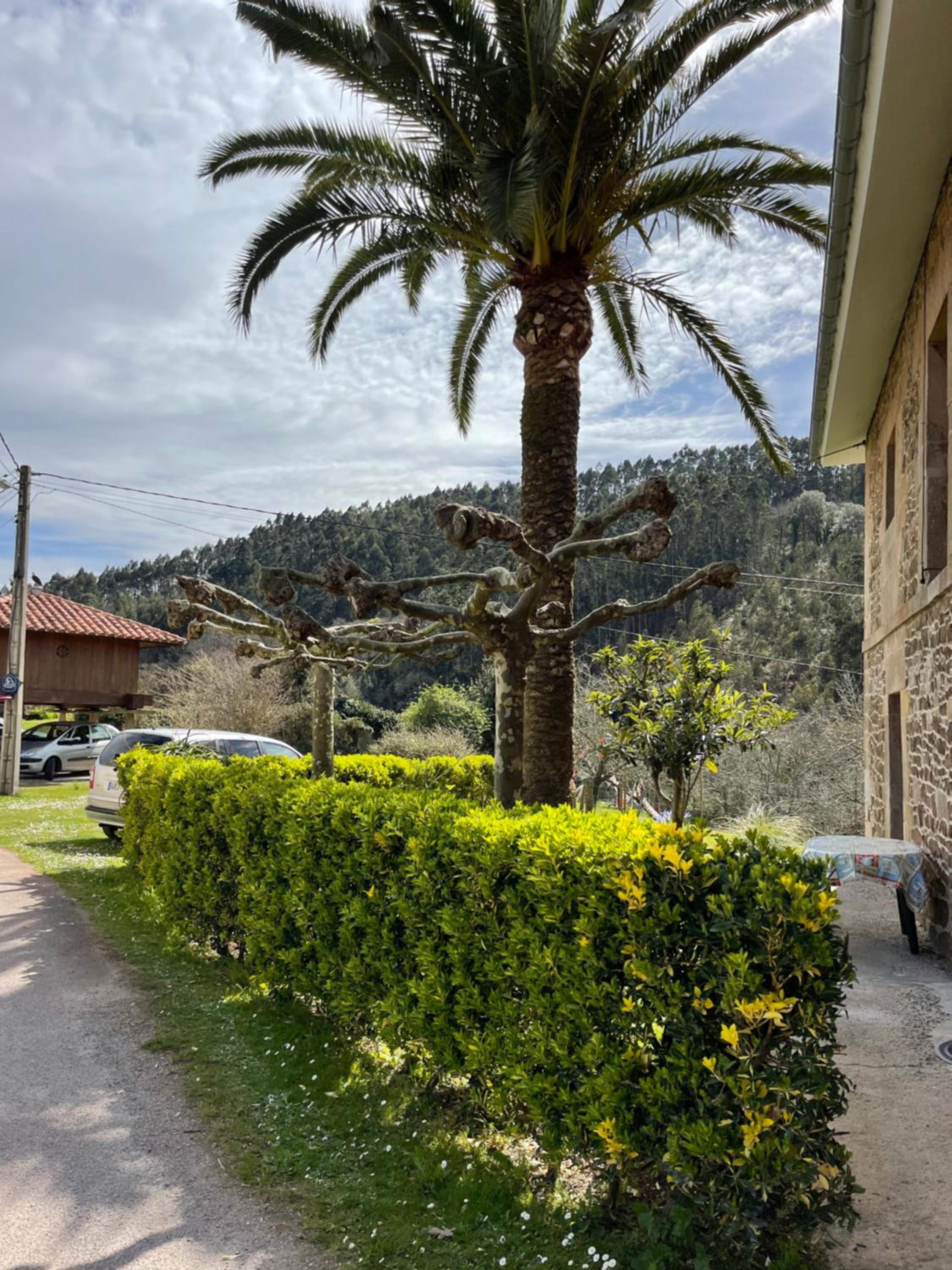 Casa vacacional Escuela la Llera