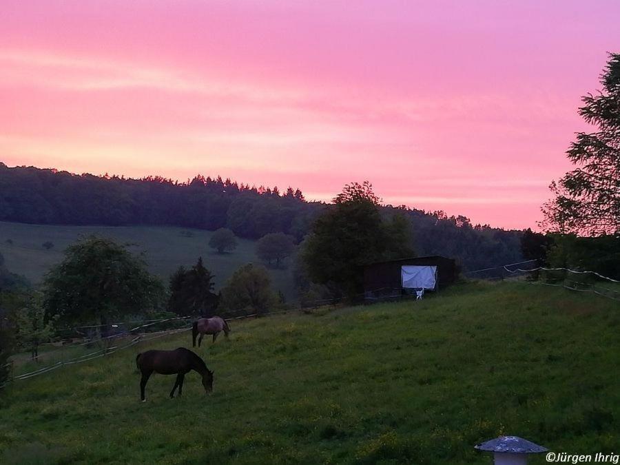 Ferienwohnung Traumblick