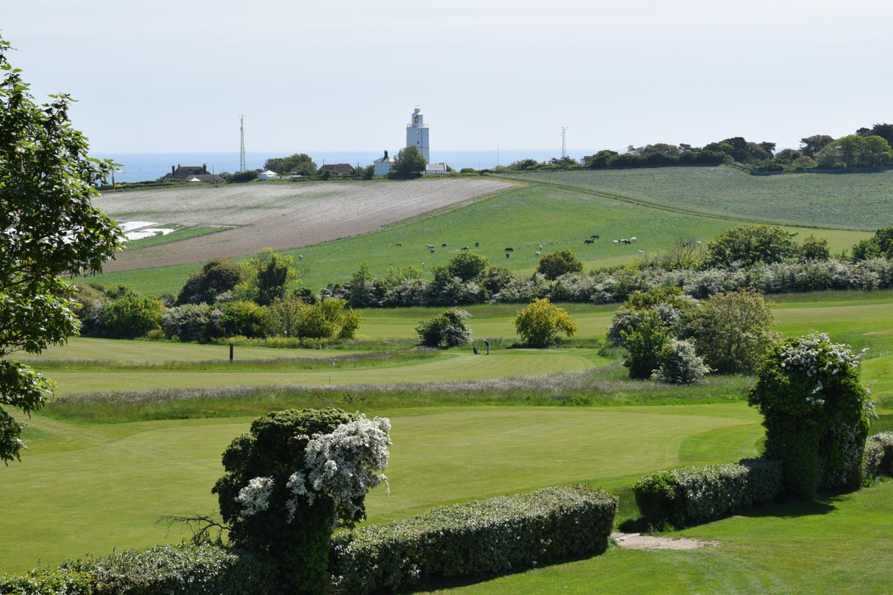 17 The Fairways view 4