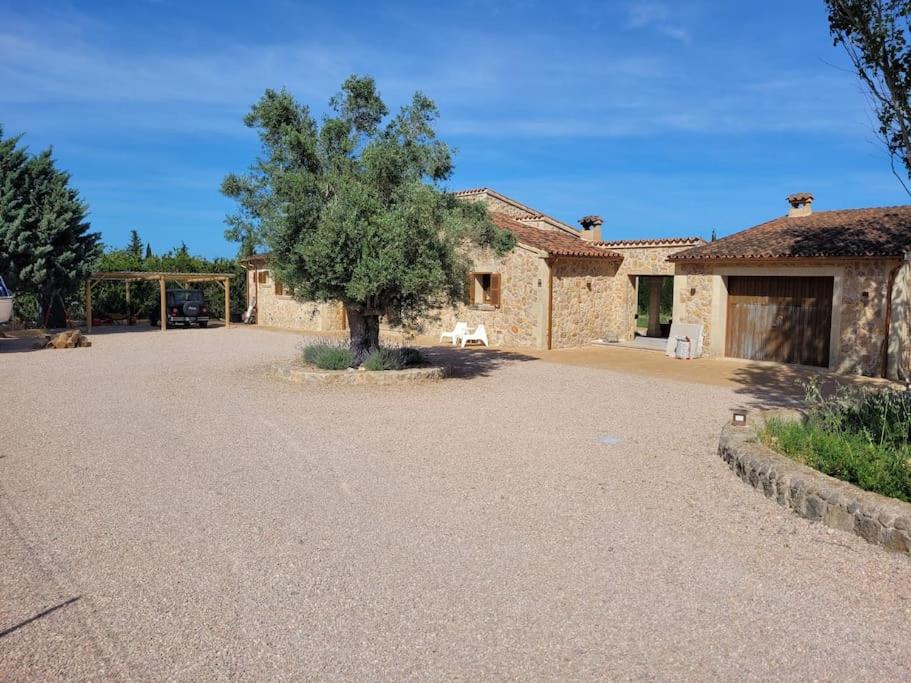 Villa Can Figuera