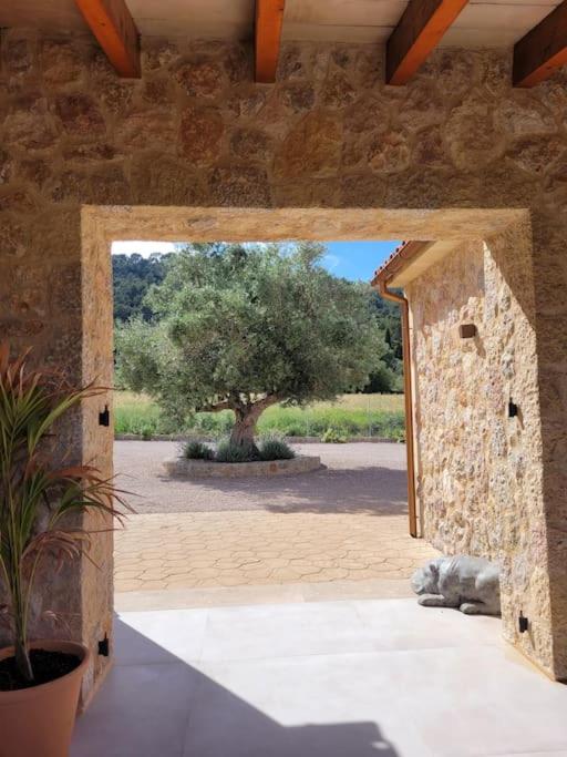 Villa Can Figuera