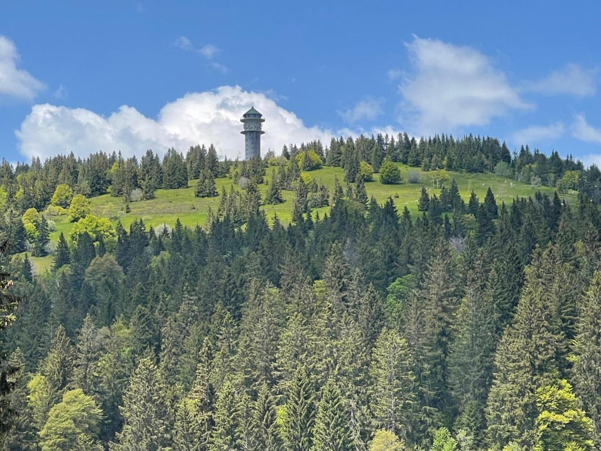 Neue Ferienwohnung mit Whirlpool und Sauna in der Residenz Grafenmatt inklusive HochschwarzwaldCard
