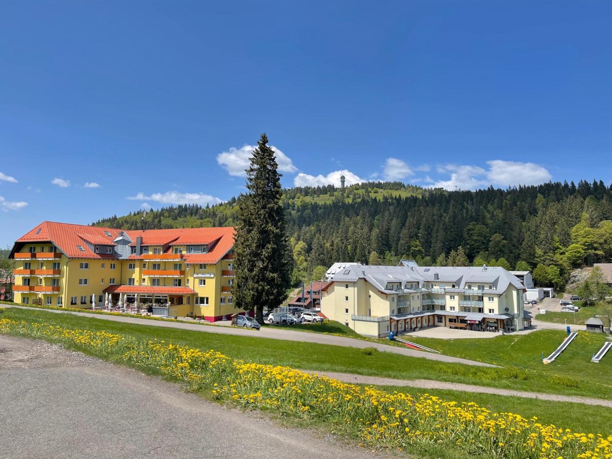 Neue Ferienwohnung mit Whirlpool und Sauna in der Residenz Grafenmatt inklusive HochschwarzwaldCard