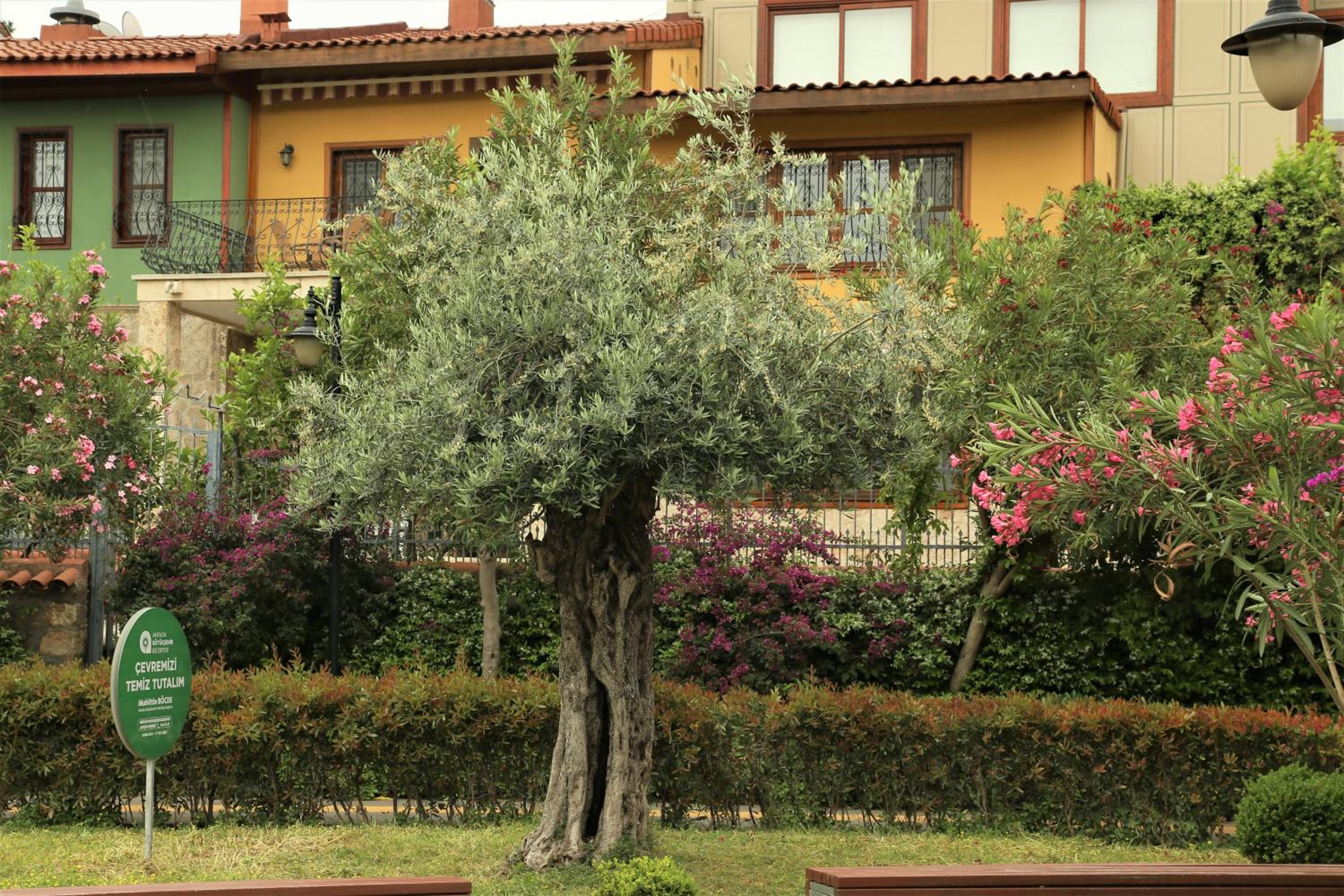 Villa Emel