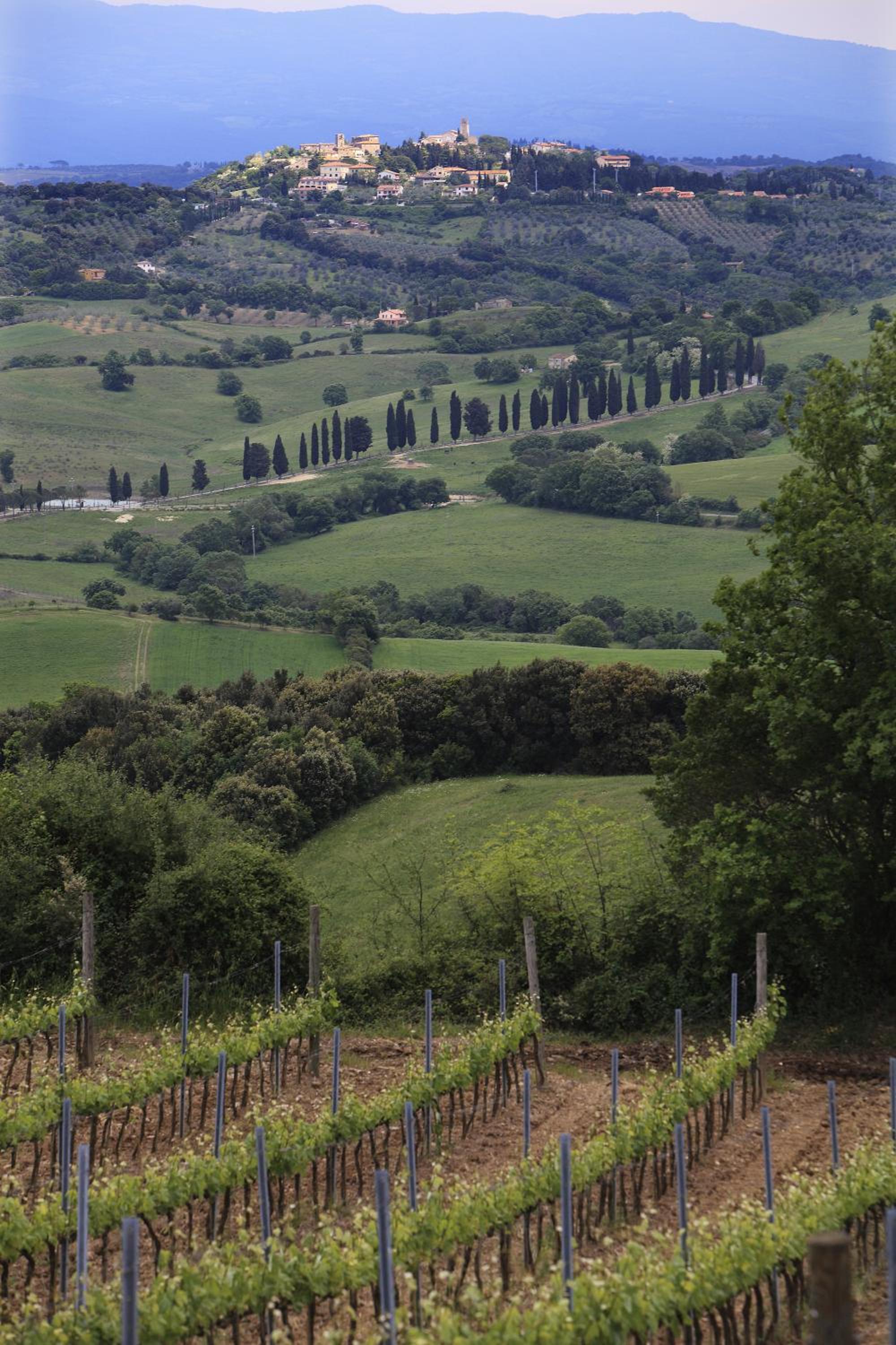 Agriturismo Belvedere Di Pierini E Brugi