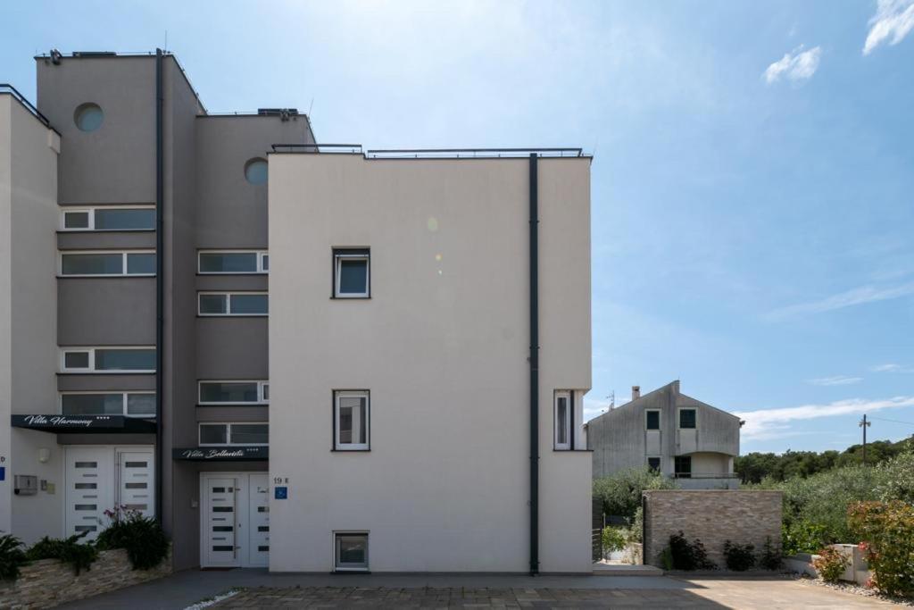 Photo 46