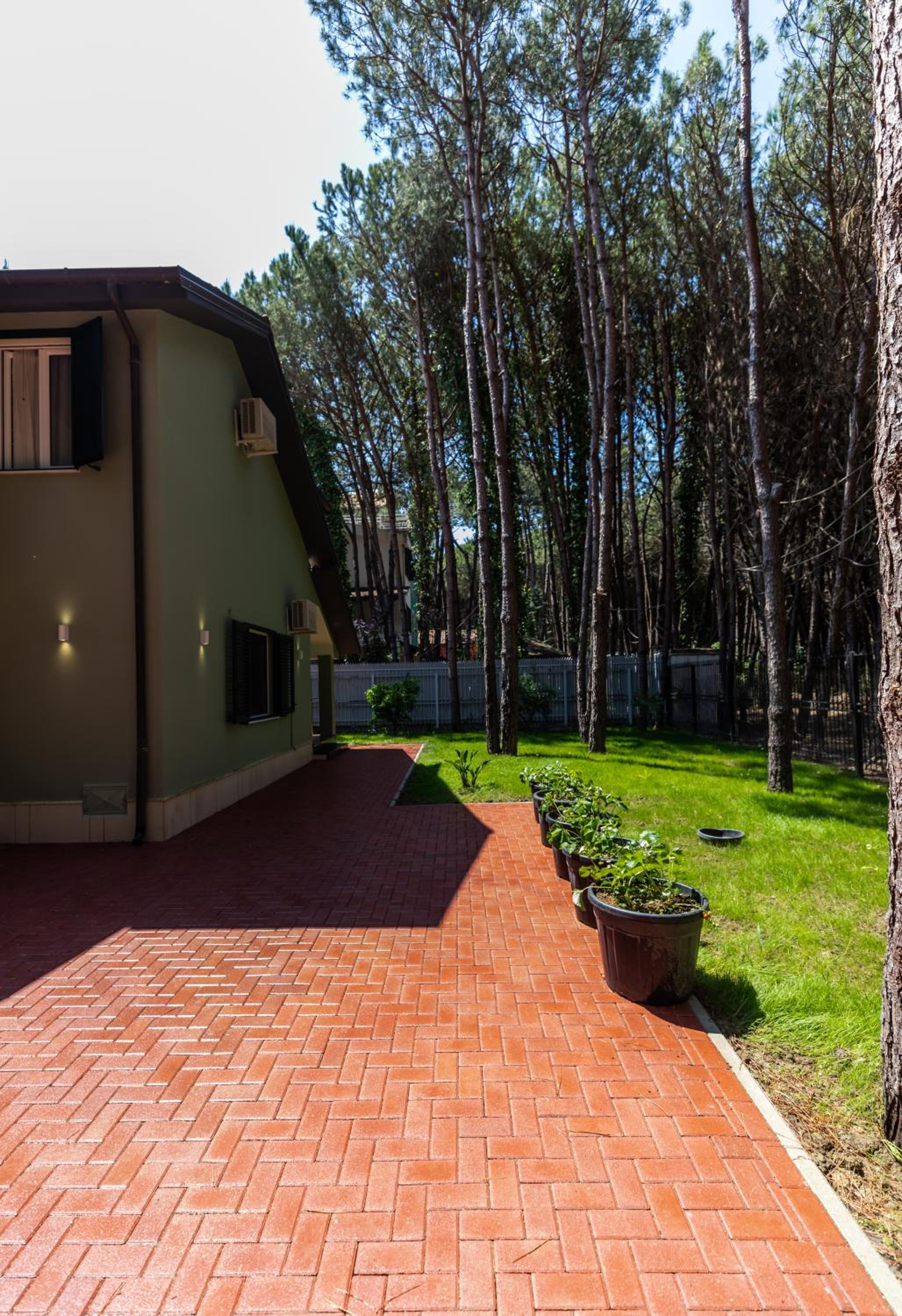 Forest Cottage - middle of forest & near the beach