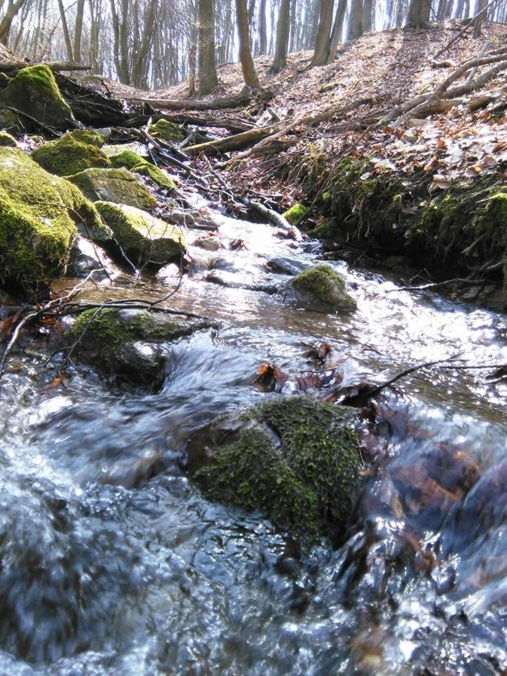 Bíró-udvar vendégház