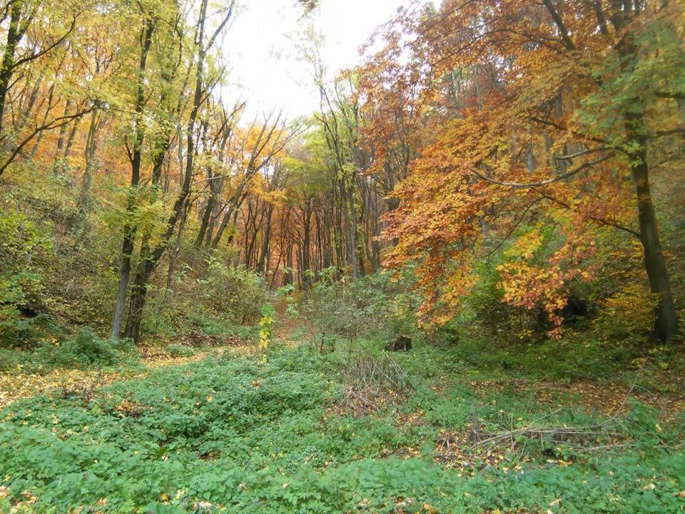 Bíró-udvar vendégház