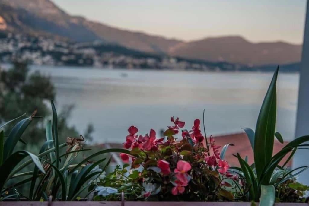 Lidija Apartments