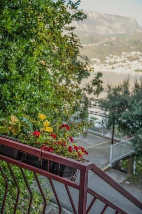 Lidija Apartments