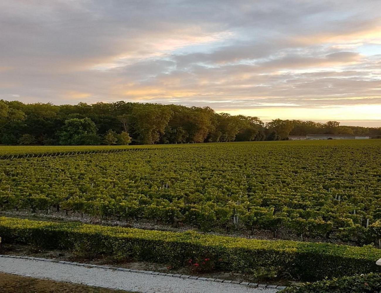 Hotel de Margaux - Property Image 15