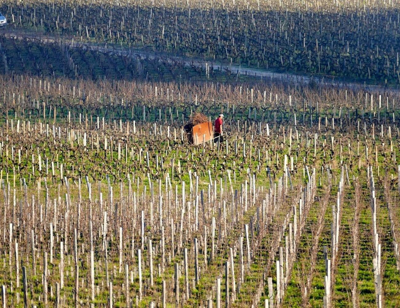 Hotel de Margaux - Property Image 16