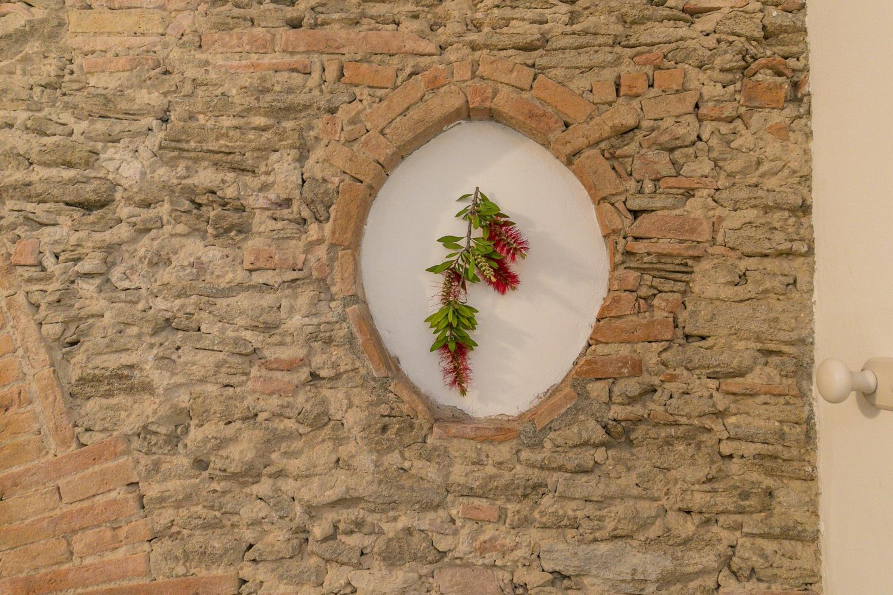 Podere Nuti - 1 La Regola