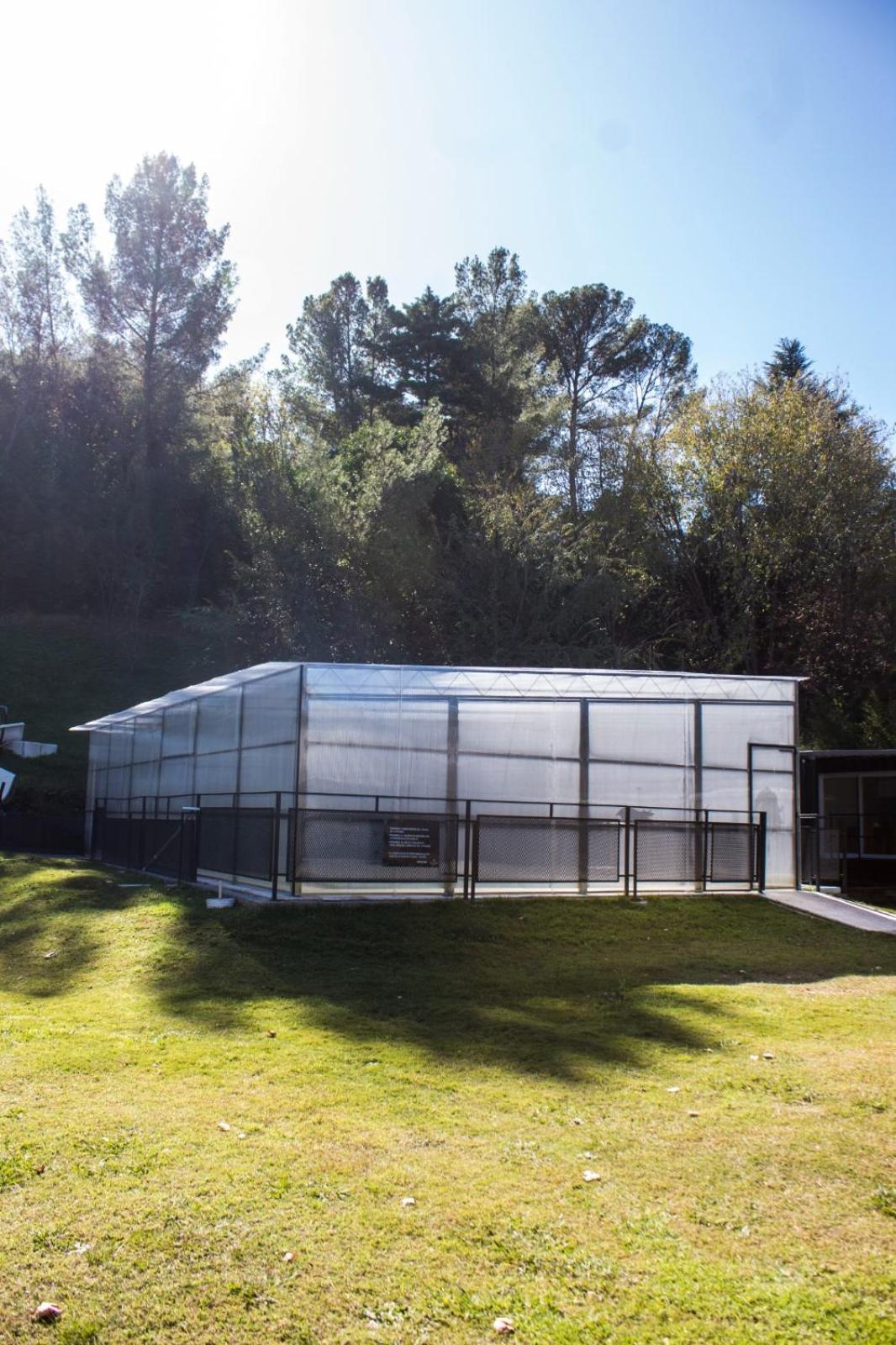Maliva Cabanas