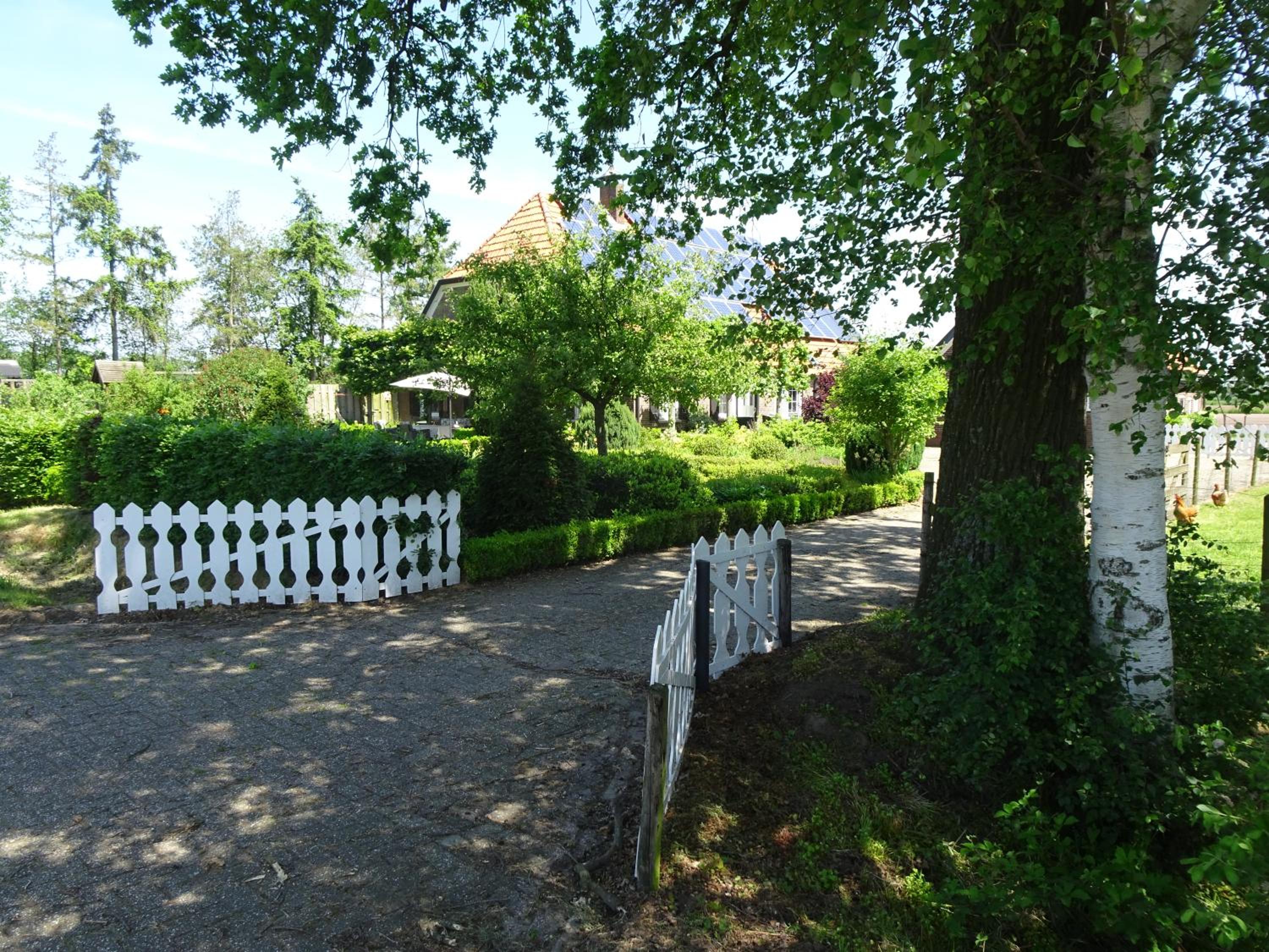 Photo 14