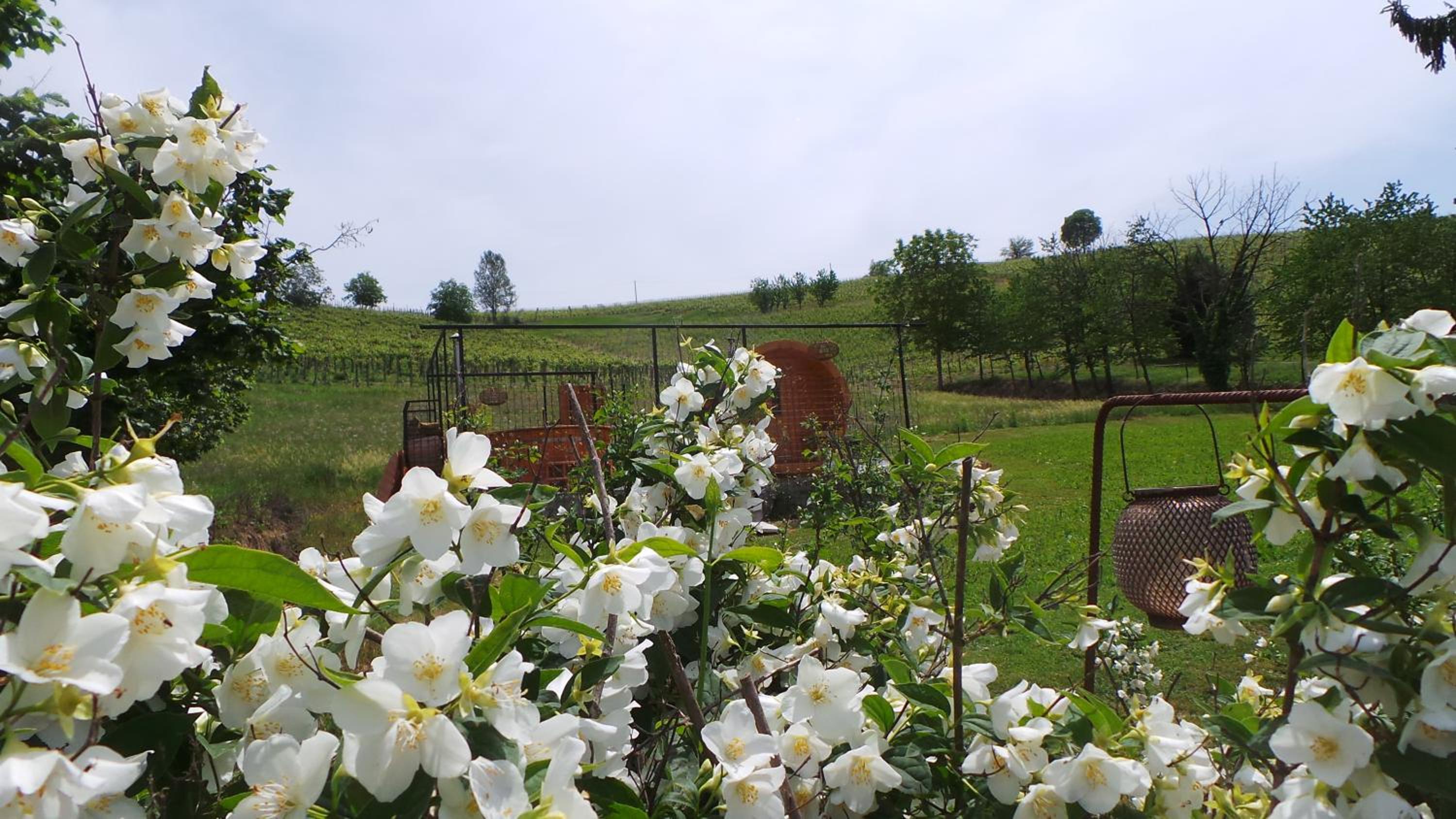 Photo 32