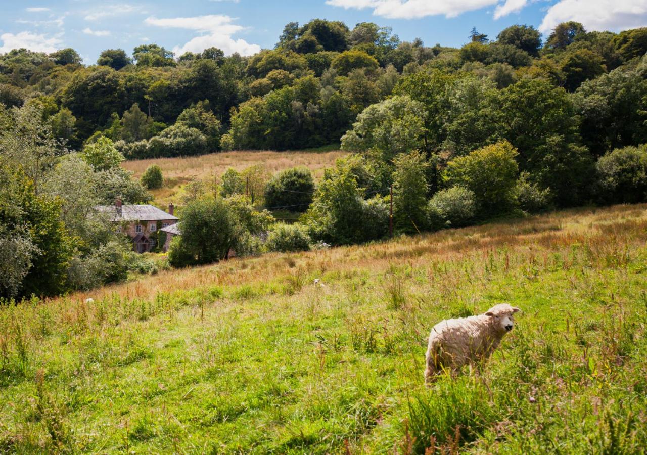 4 Bed in Honiton oc-hutfar