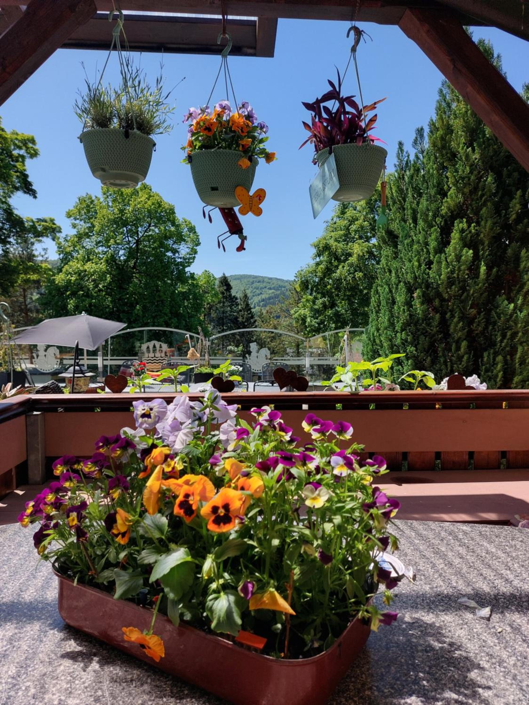 Hotel Zum Poppschen Gut