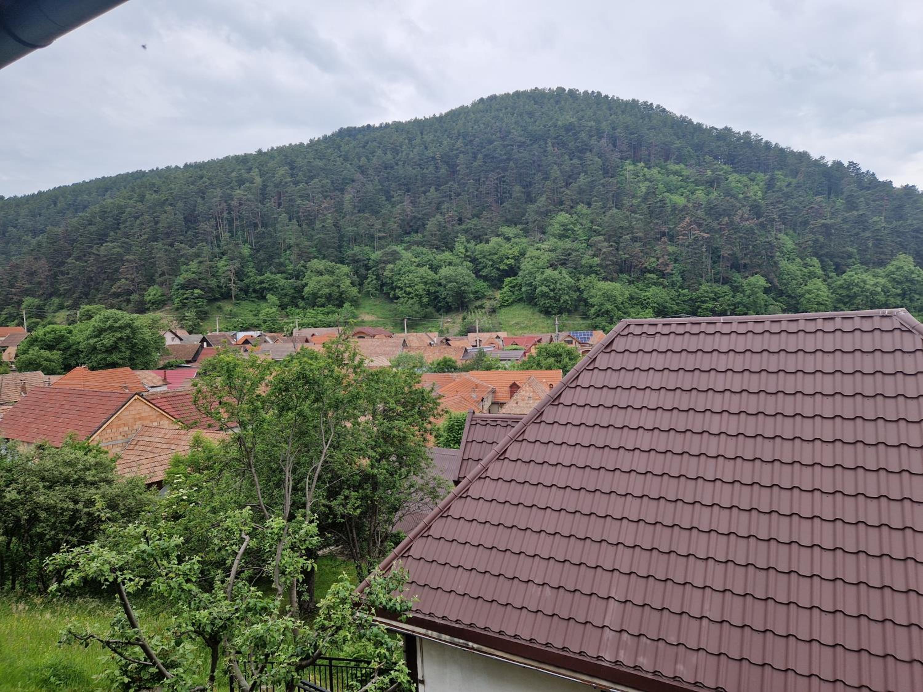 pensiunea carul mare