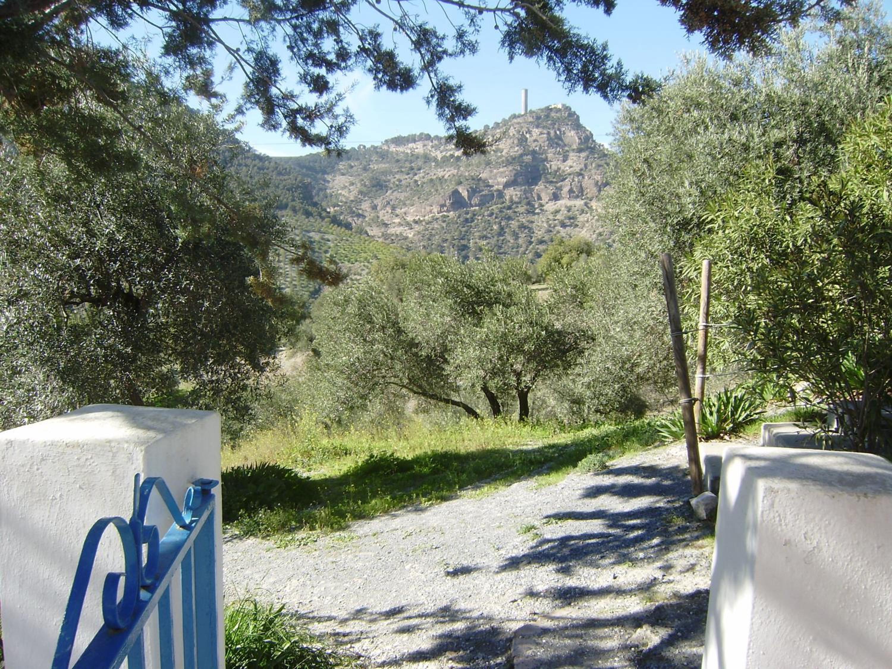 Photo 34