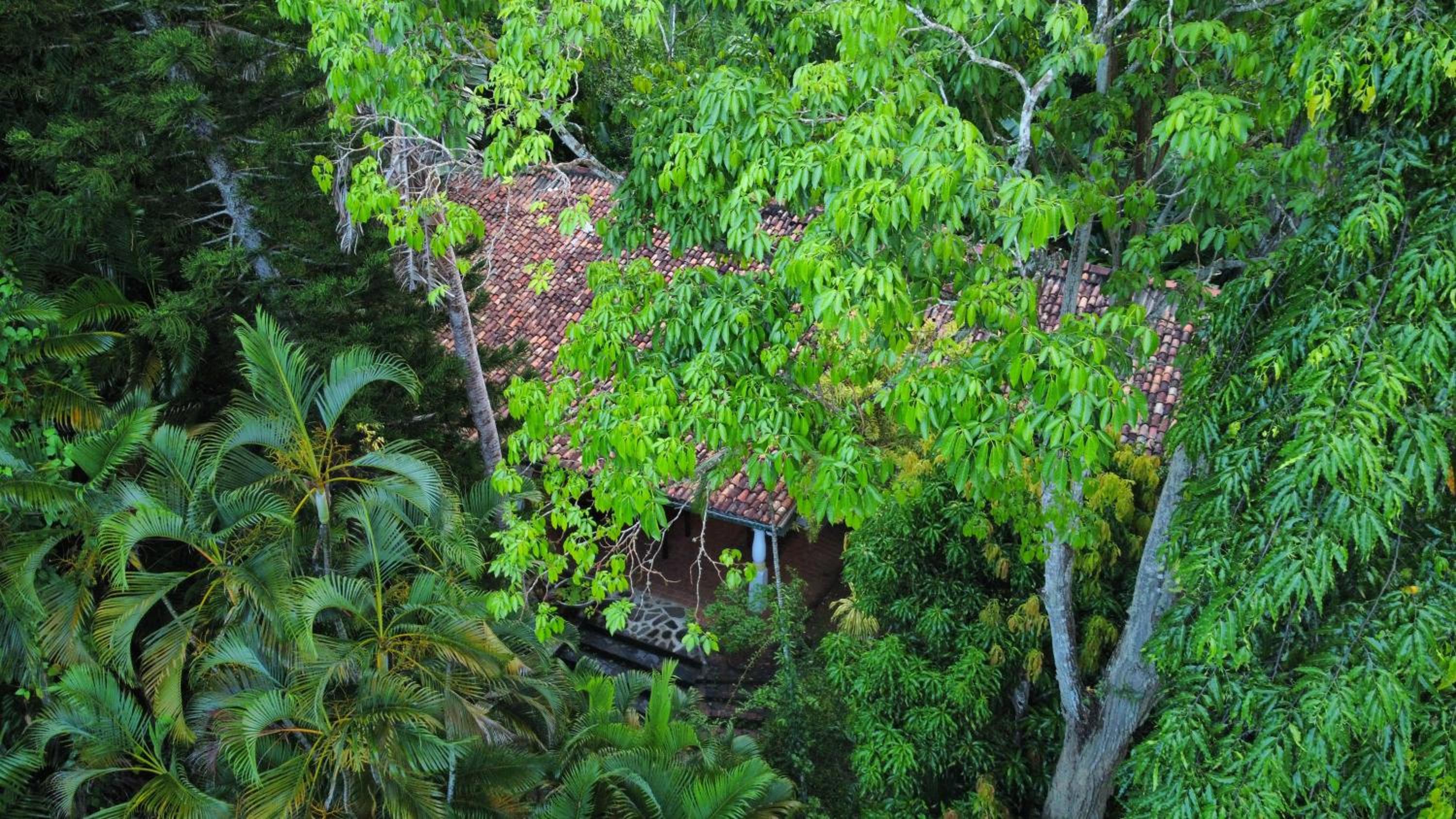 Whispering House