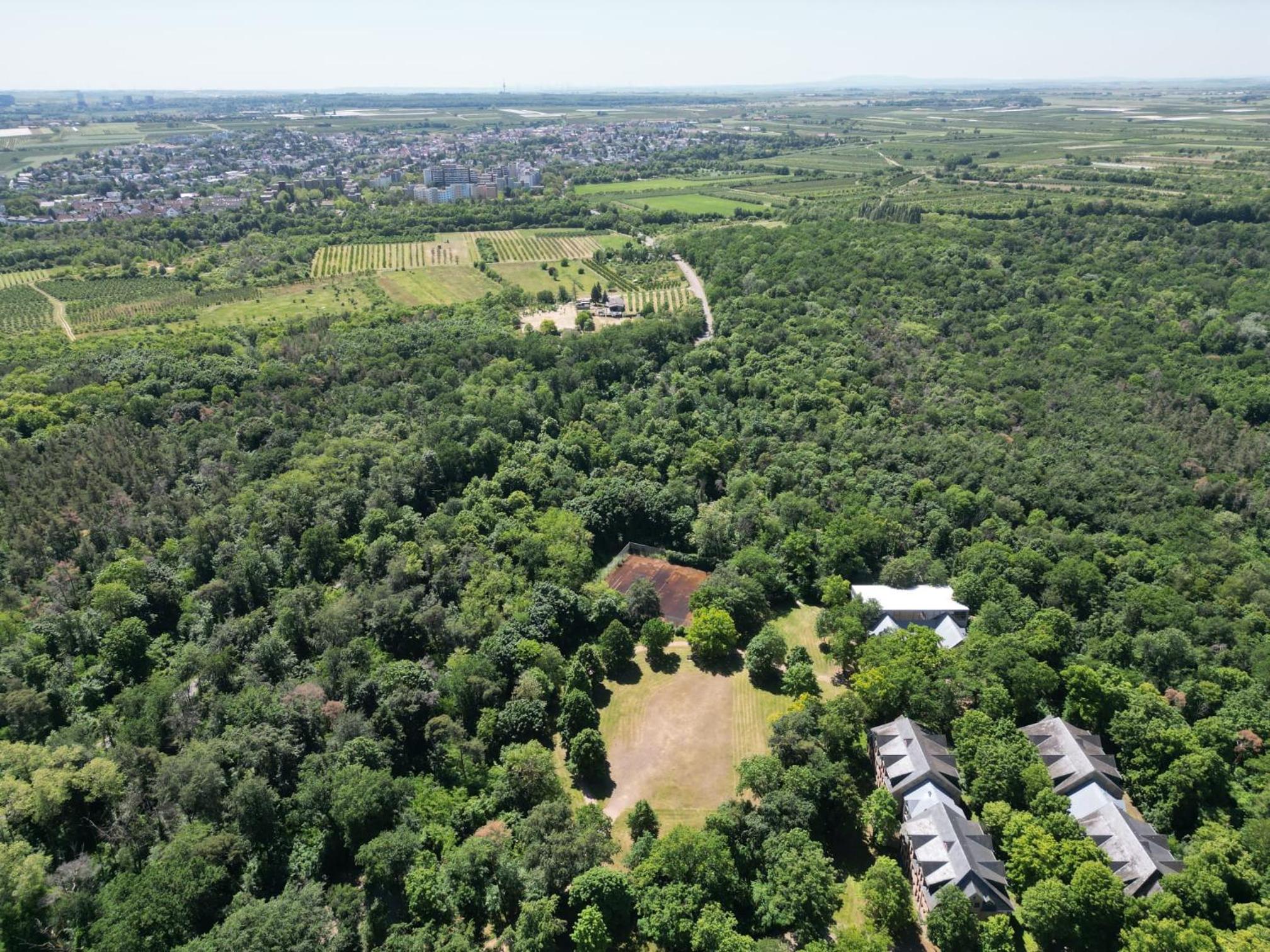 Ferienhaus Budenheim