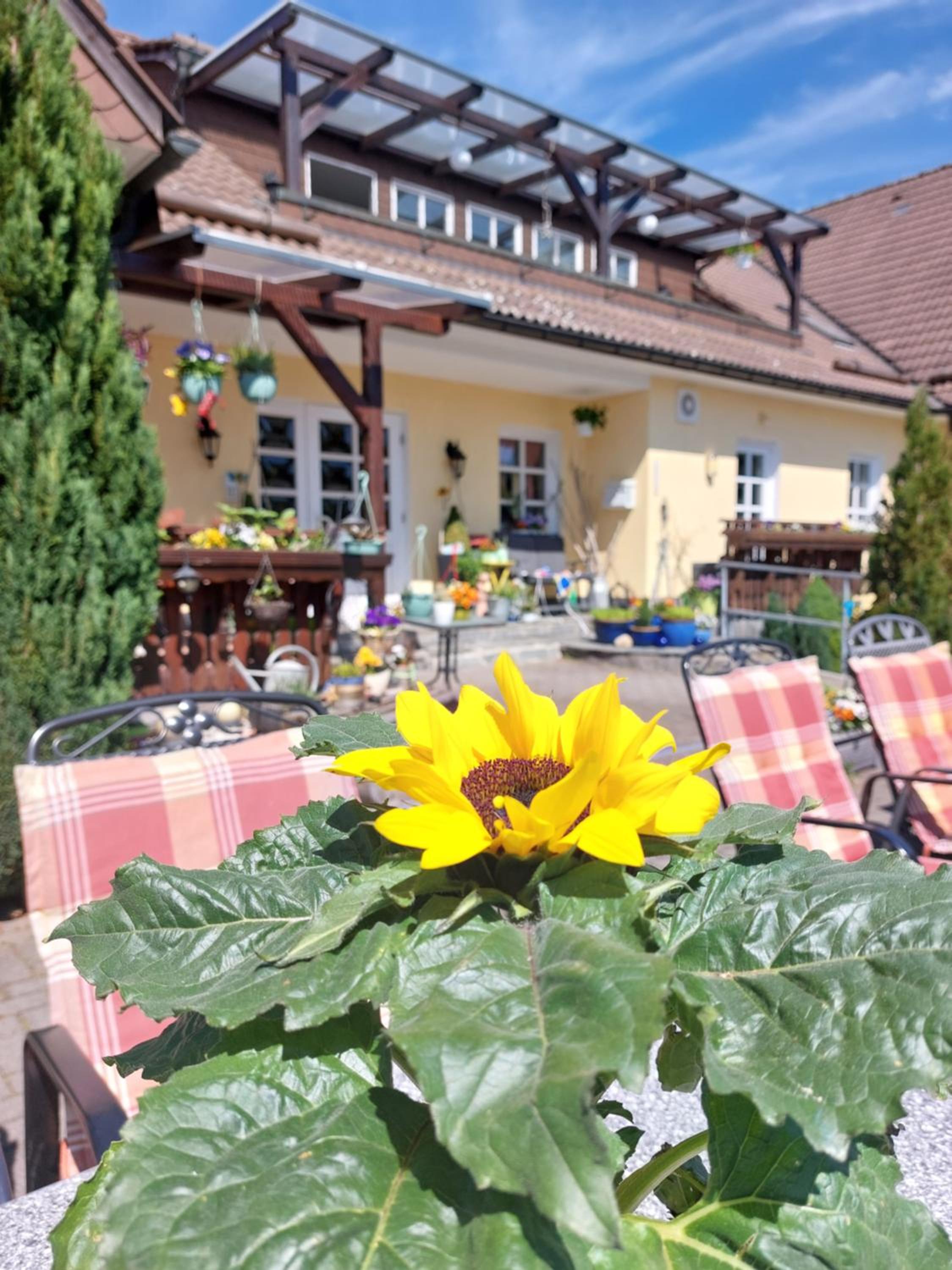 Hotel Zum Poppschen Gut