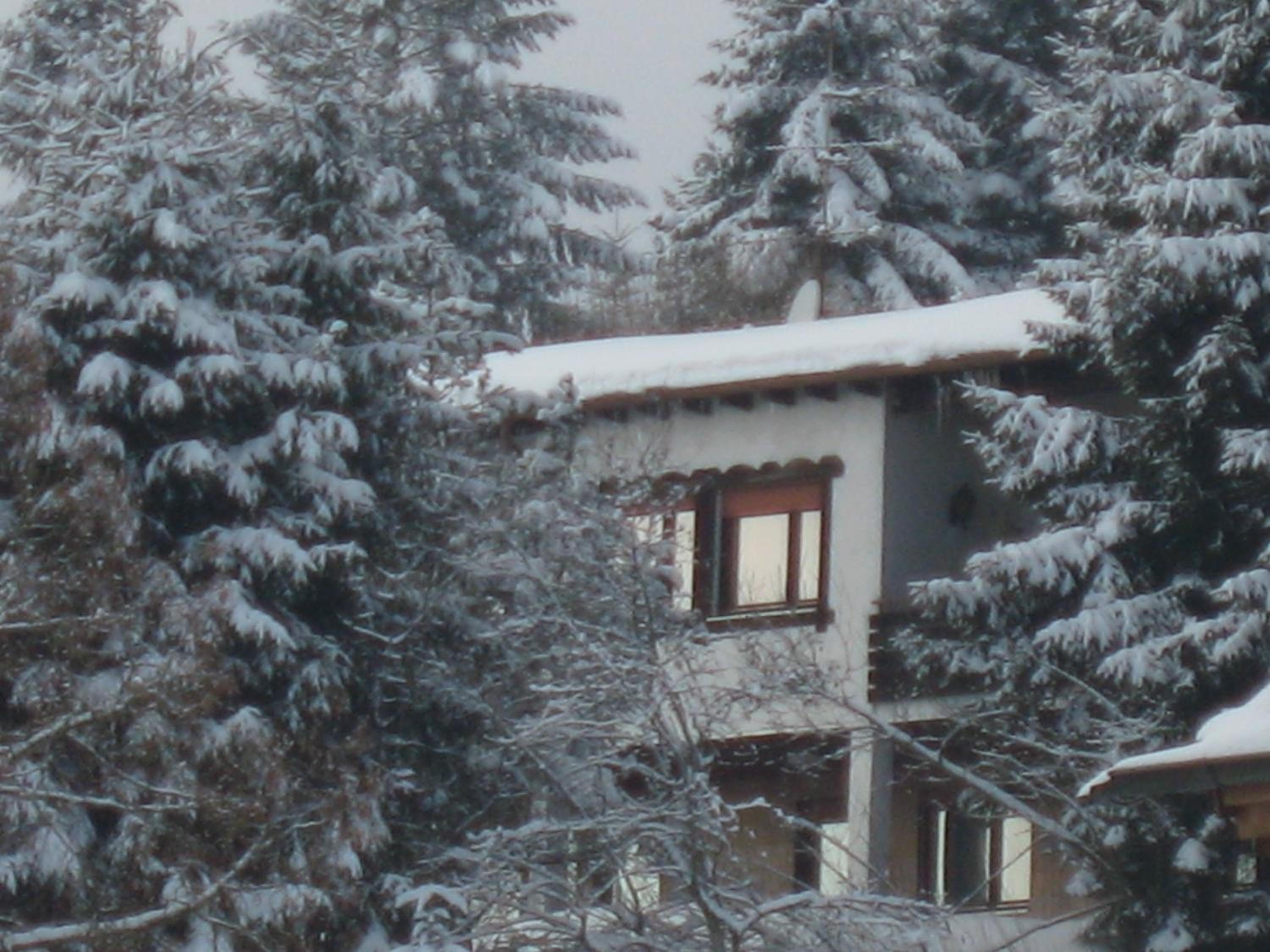 Haus-Lindenau