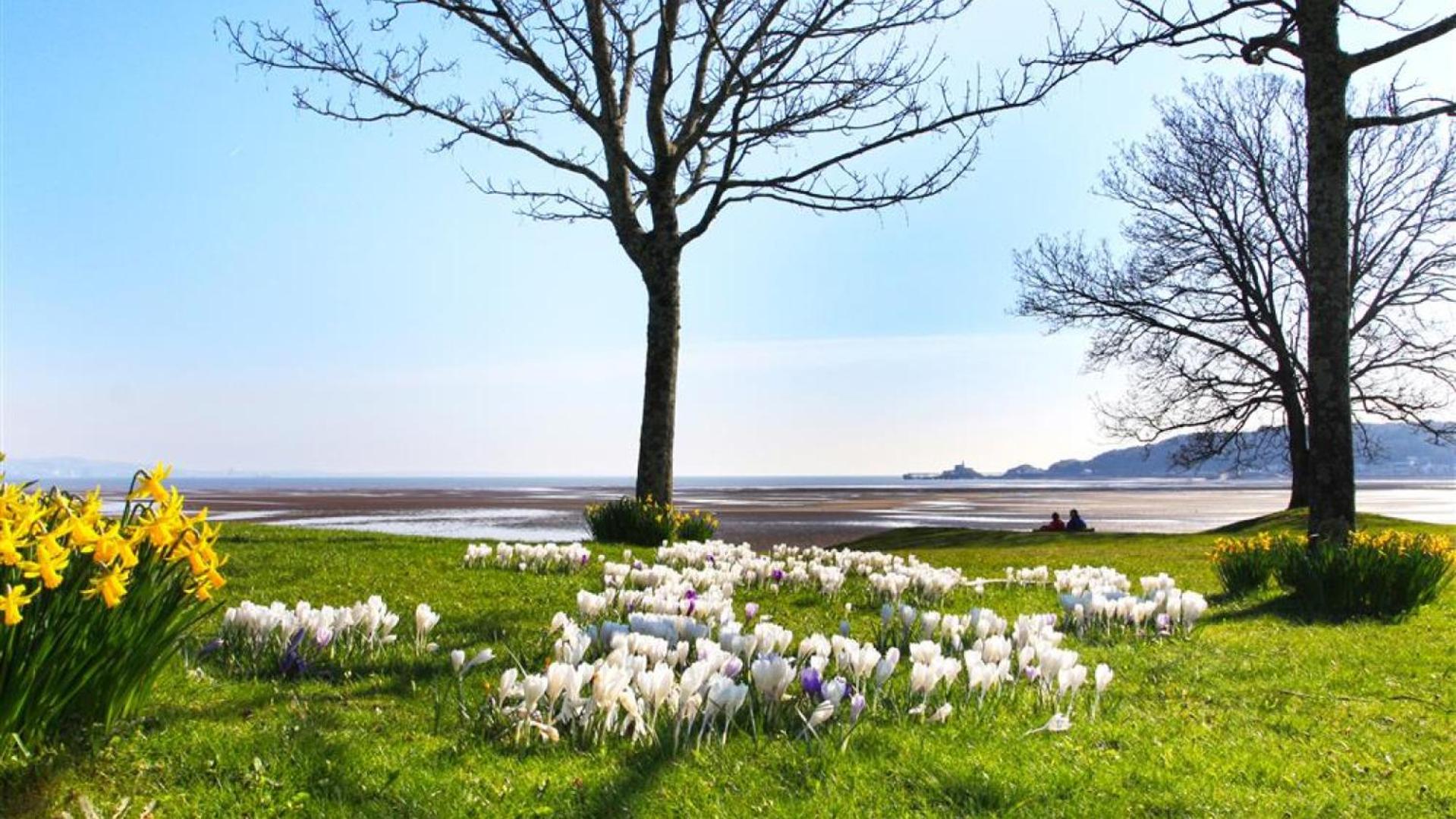 1 Bed in Mumbles oc-hh1205