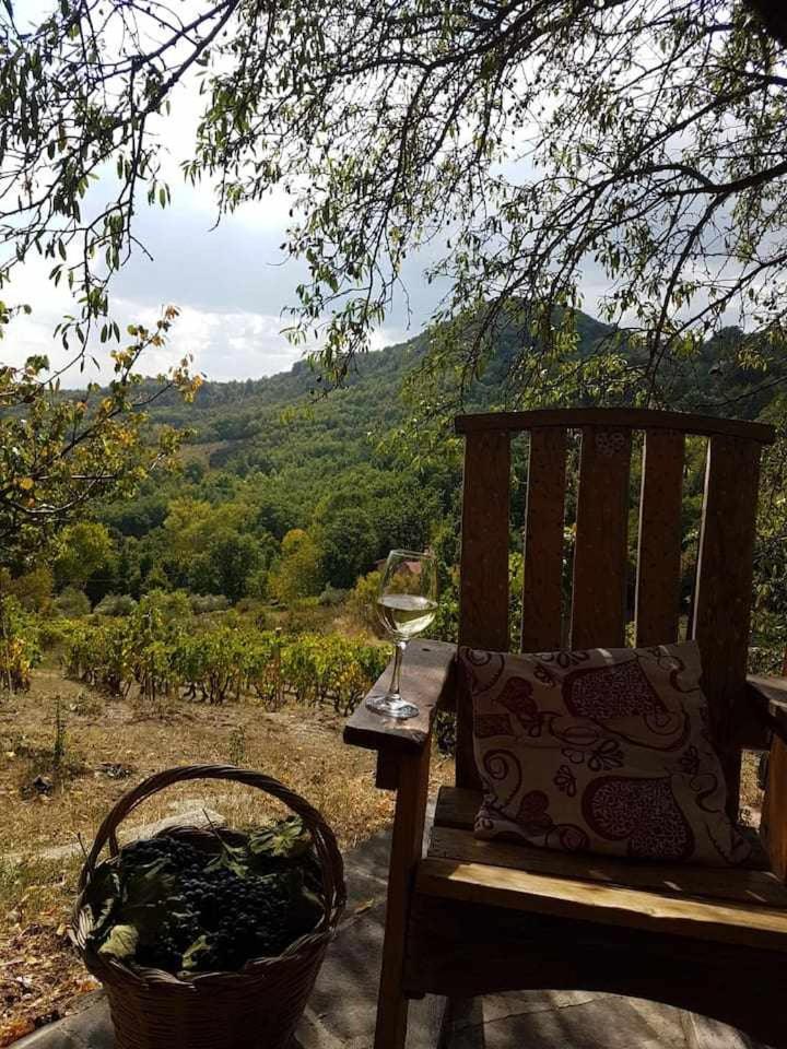 Casa Vacanza Contado Latino view 5