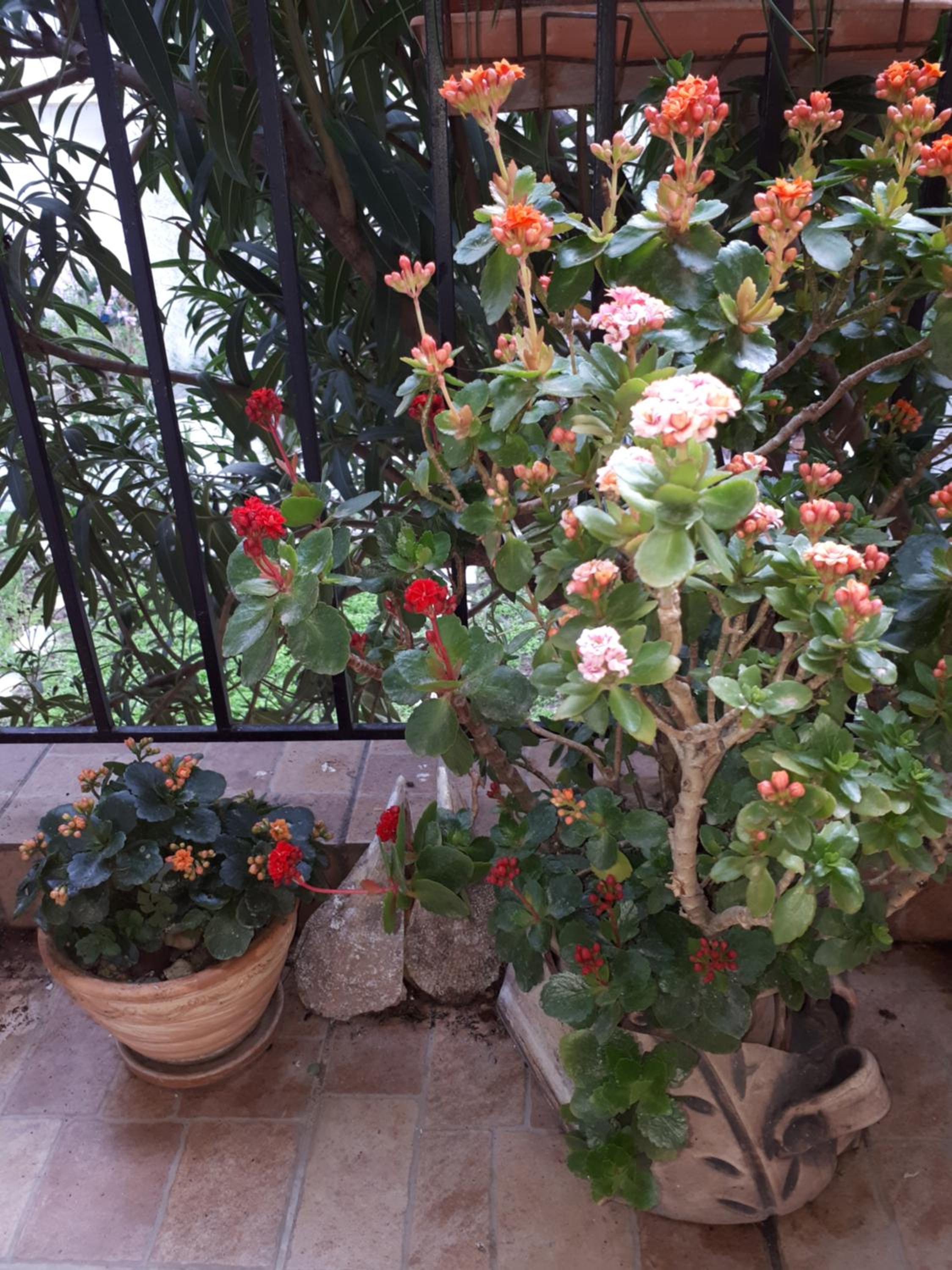 Photo 49