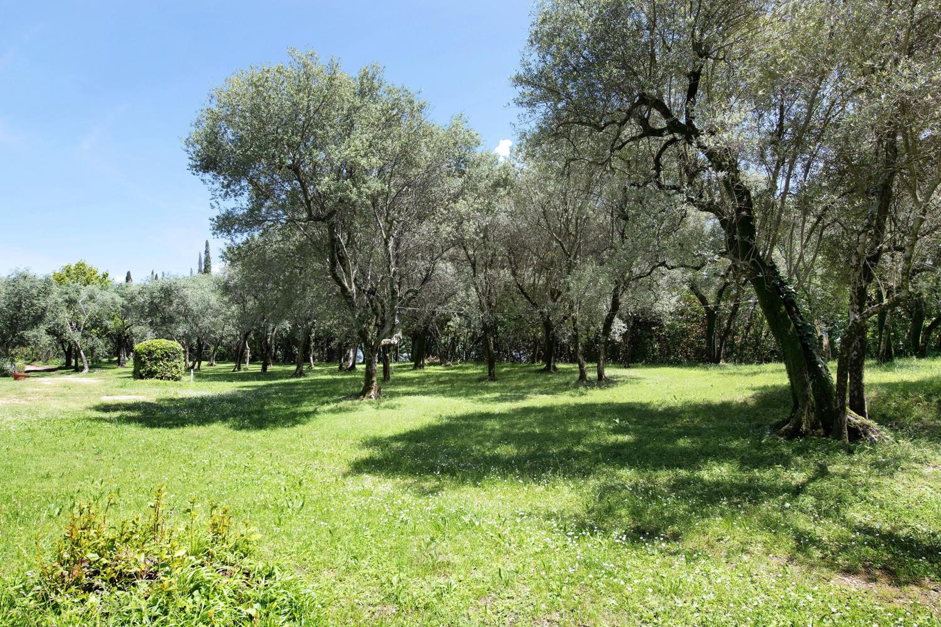 La casetta nel bosco Garda Lake photo 4