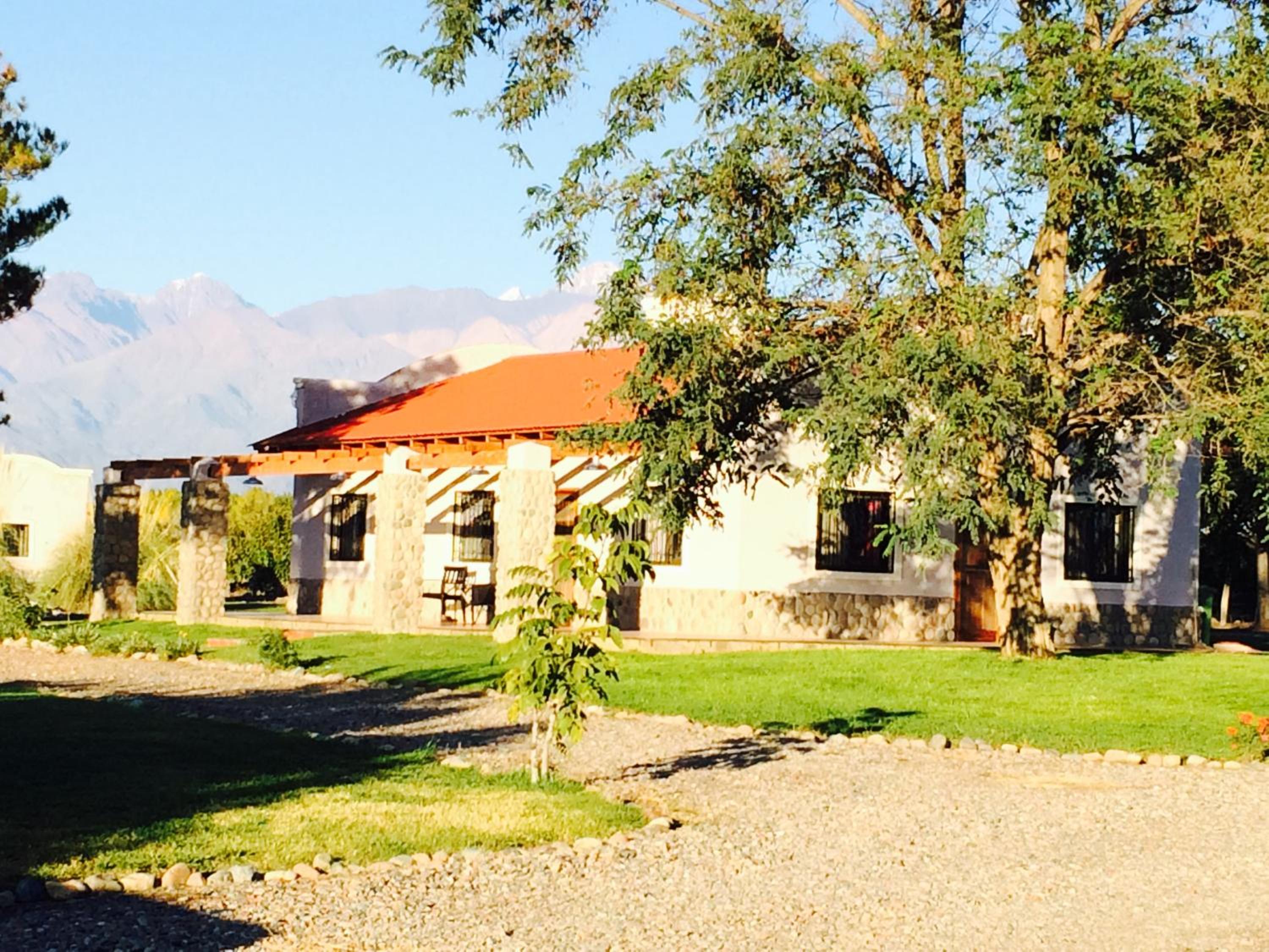 Calivista Vineyard