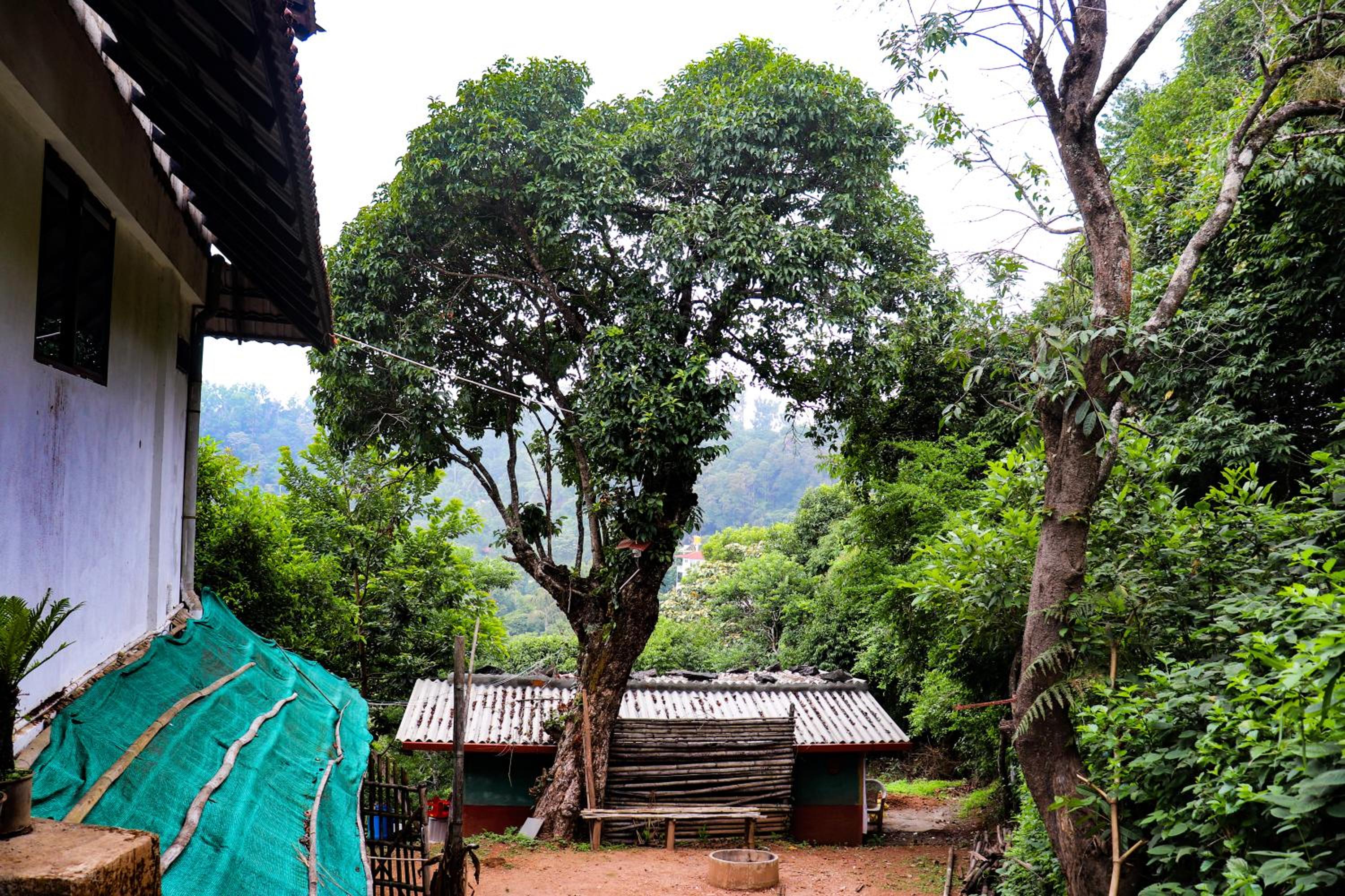 Coorg Nature Breeze home stay