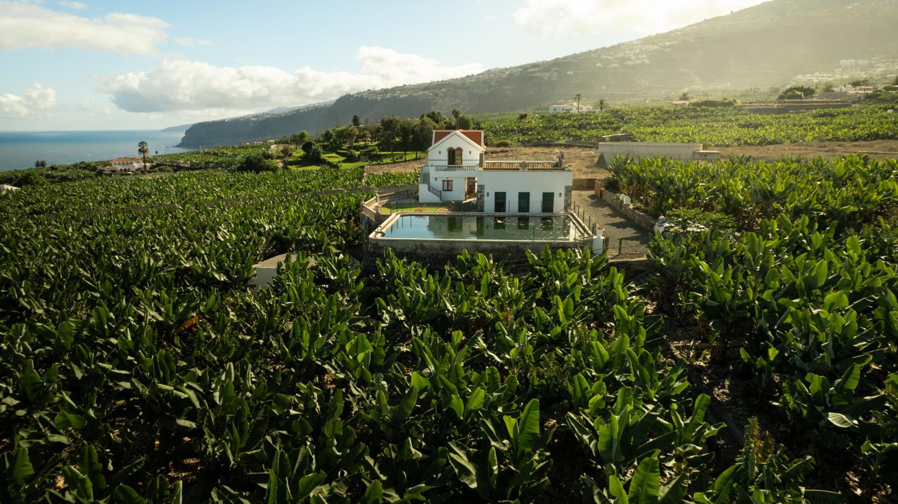 Hacienda Los Orovales