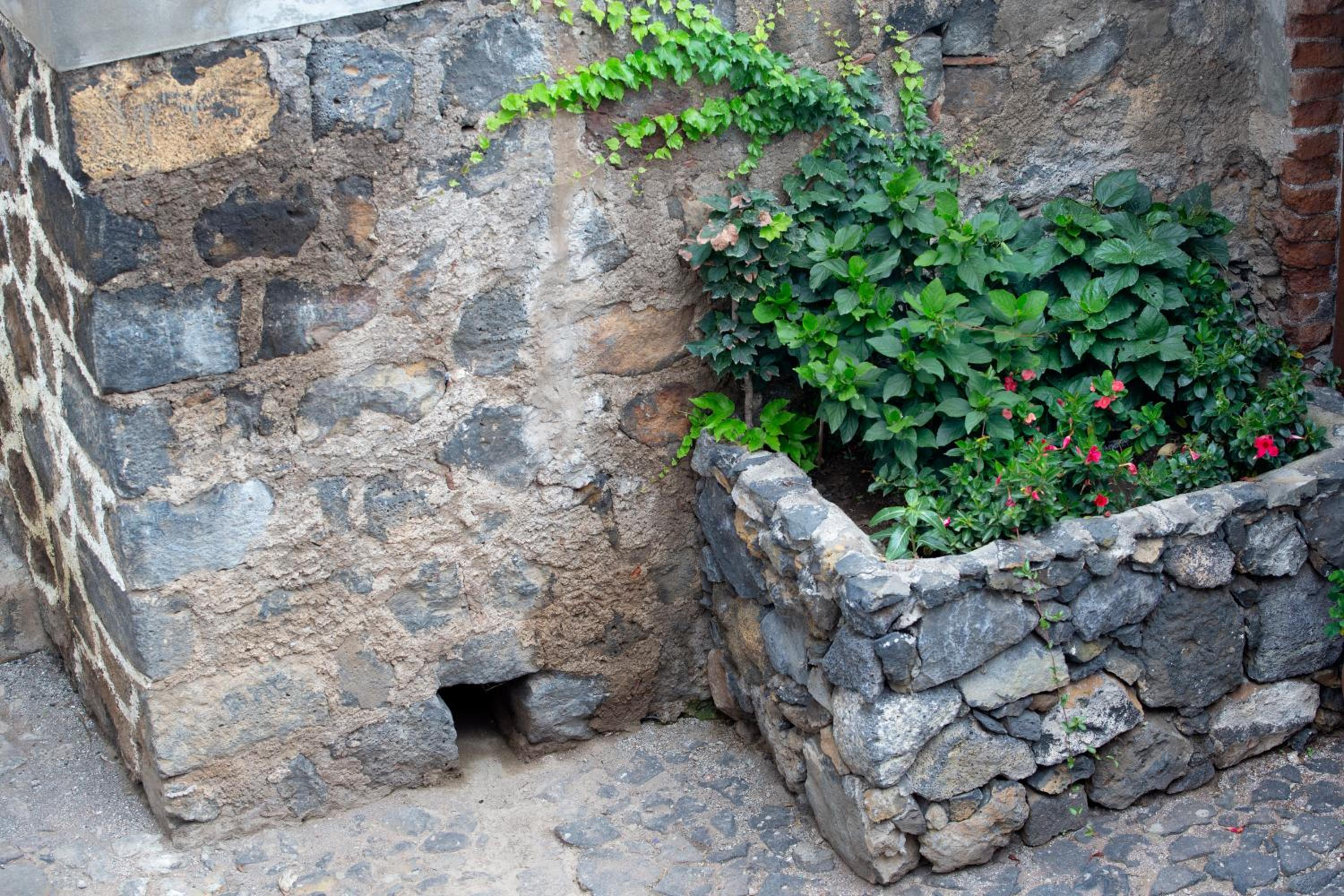 Hacienda Los Orovales