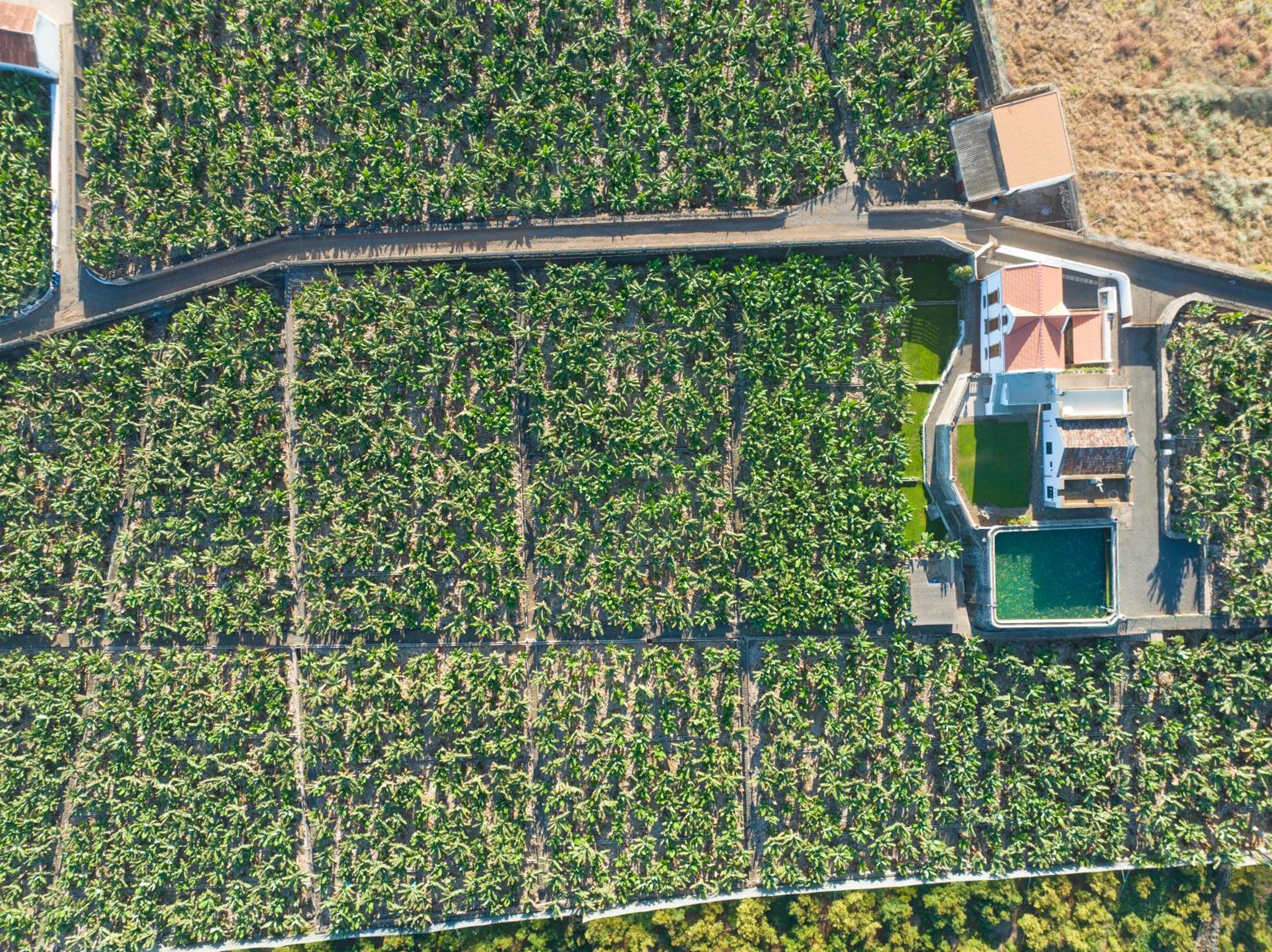 Hacienda Los Orovales