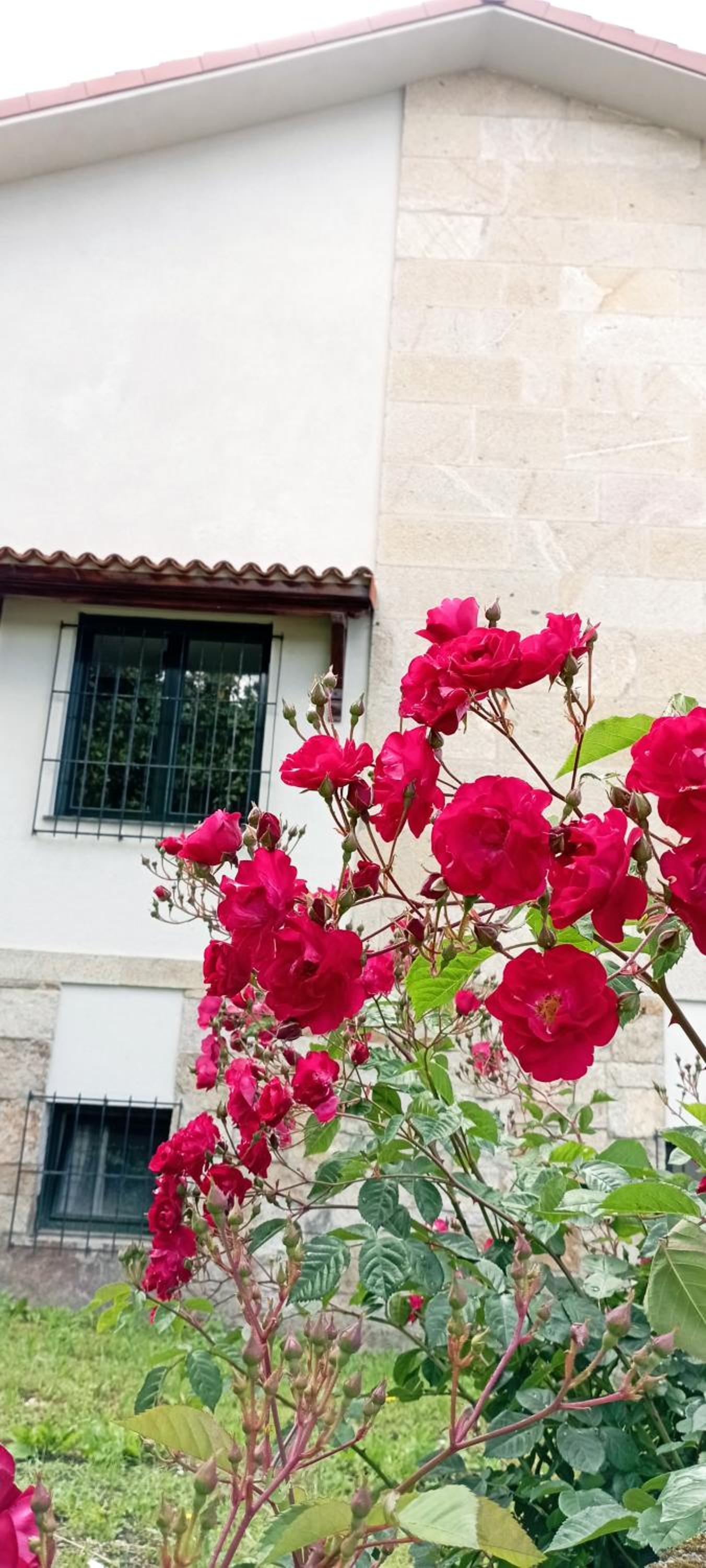 Villa San Martín