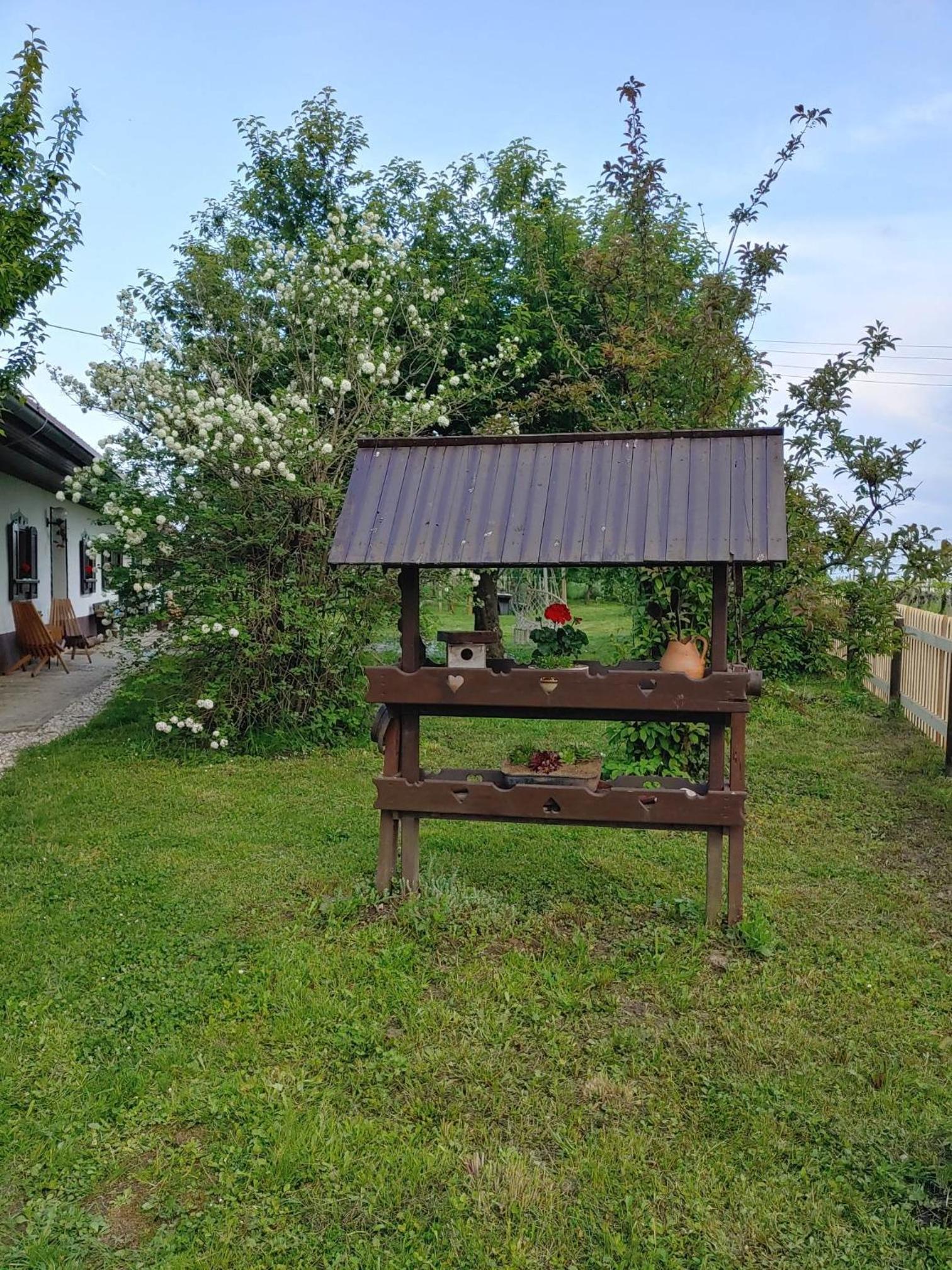 Photo 40