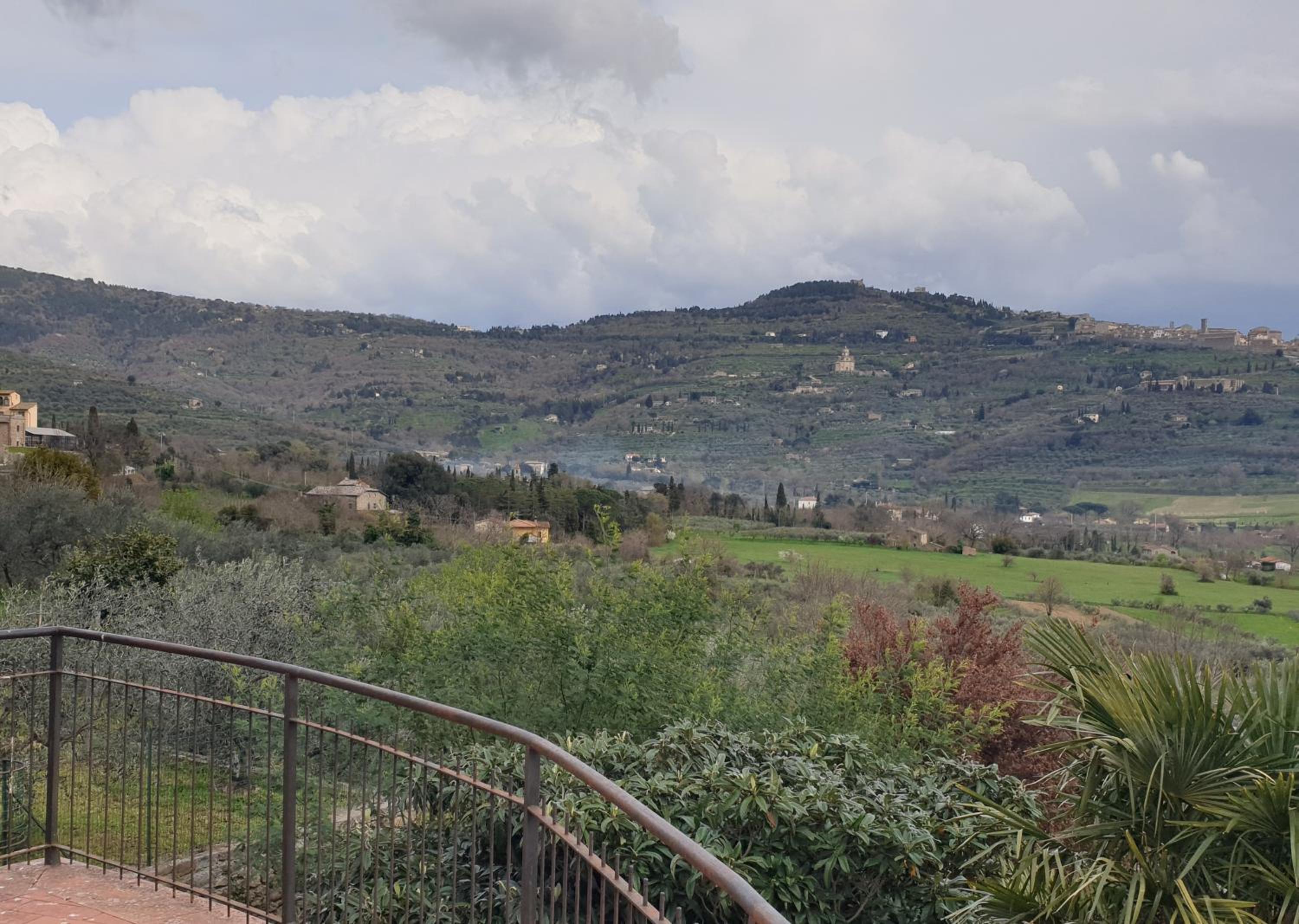 B&B Il Mandorlo view 3