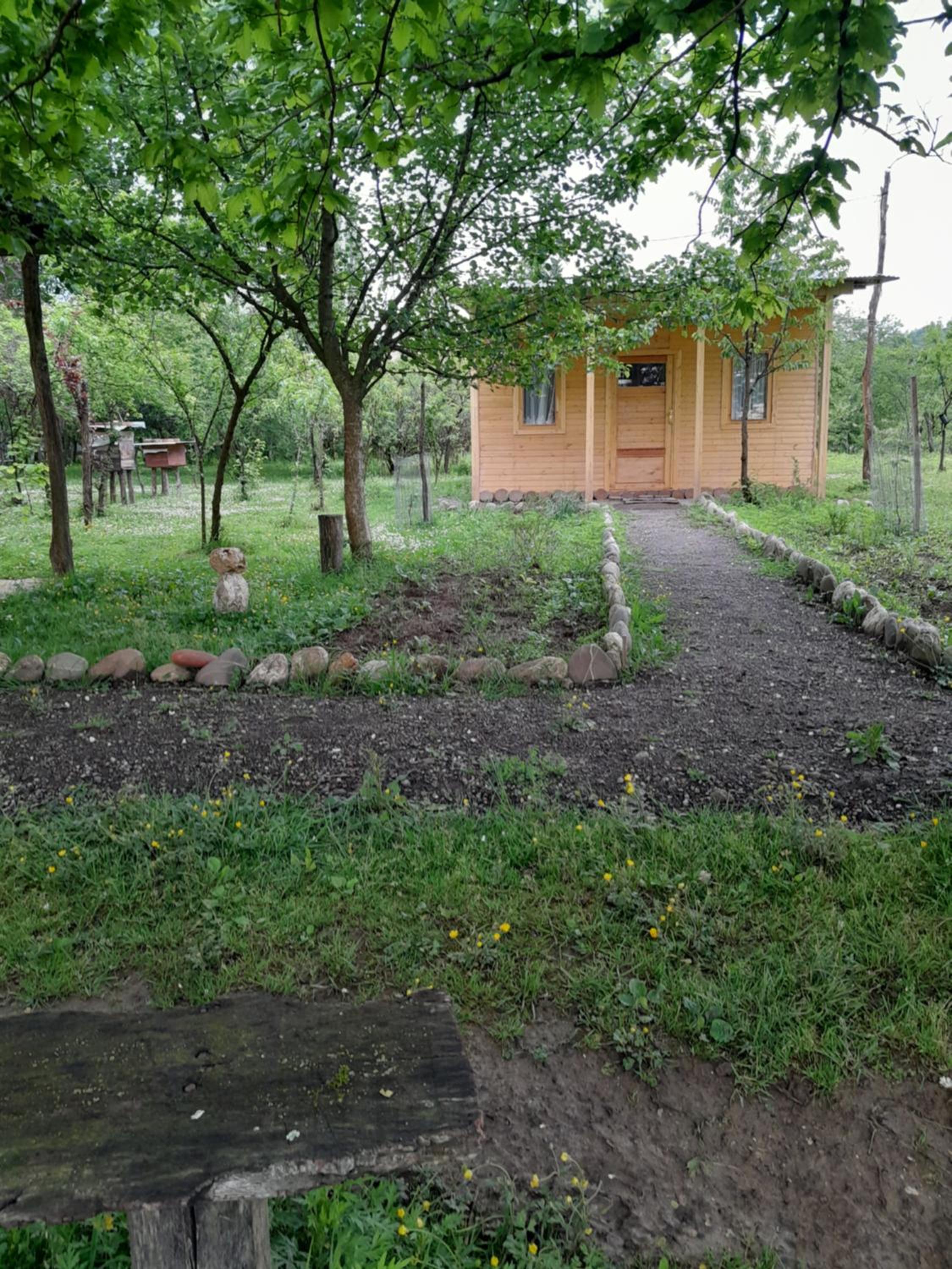Eagle Nest view 3