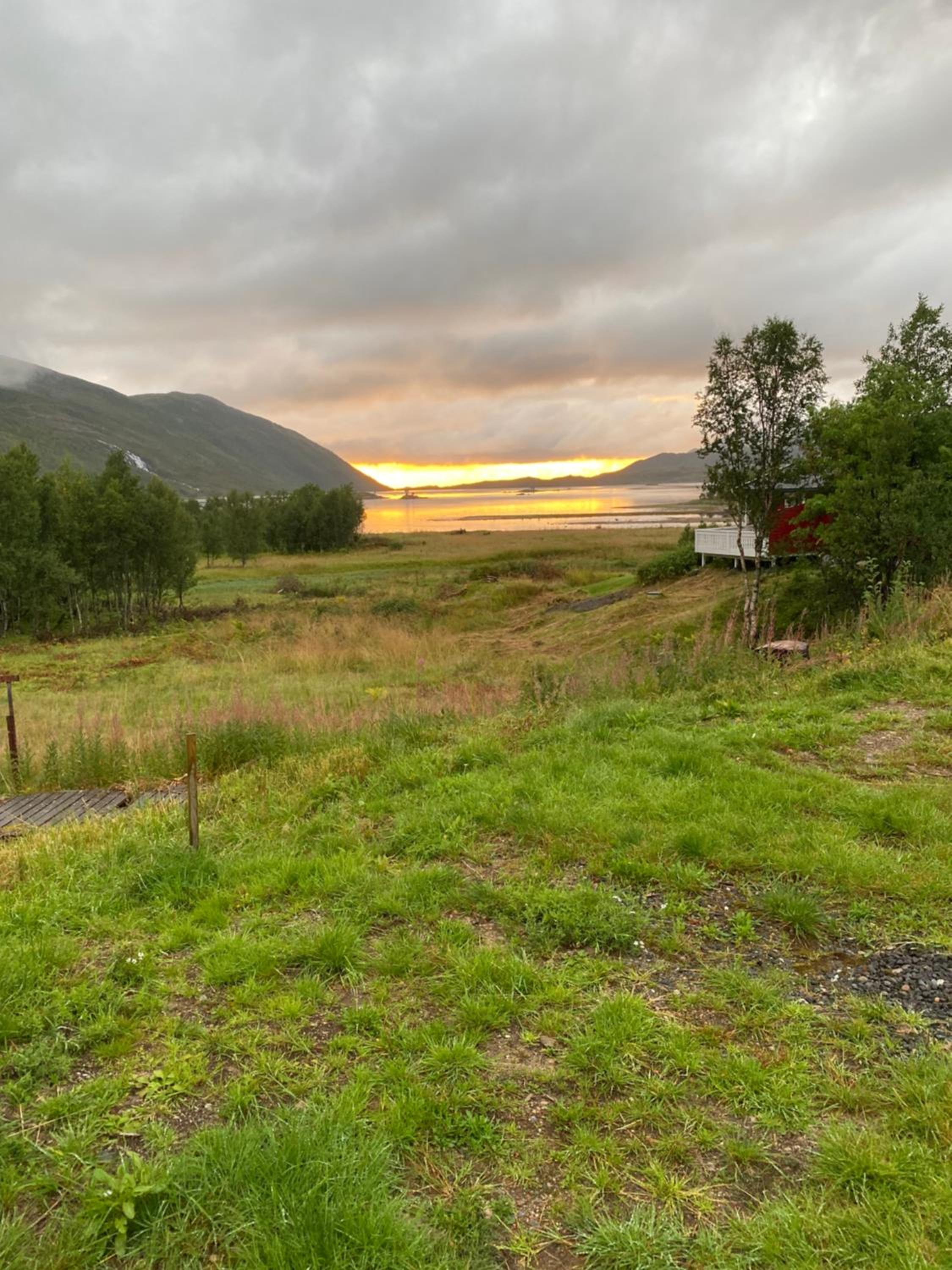 Senja