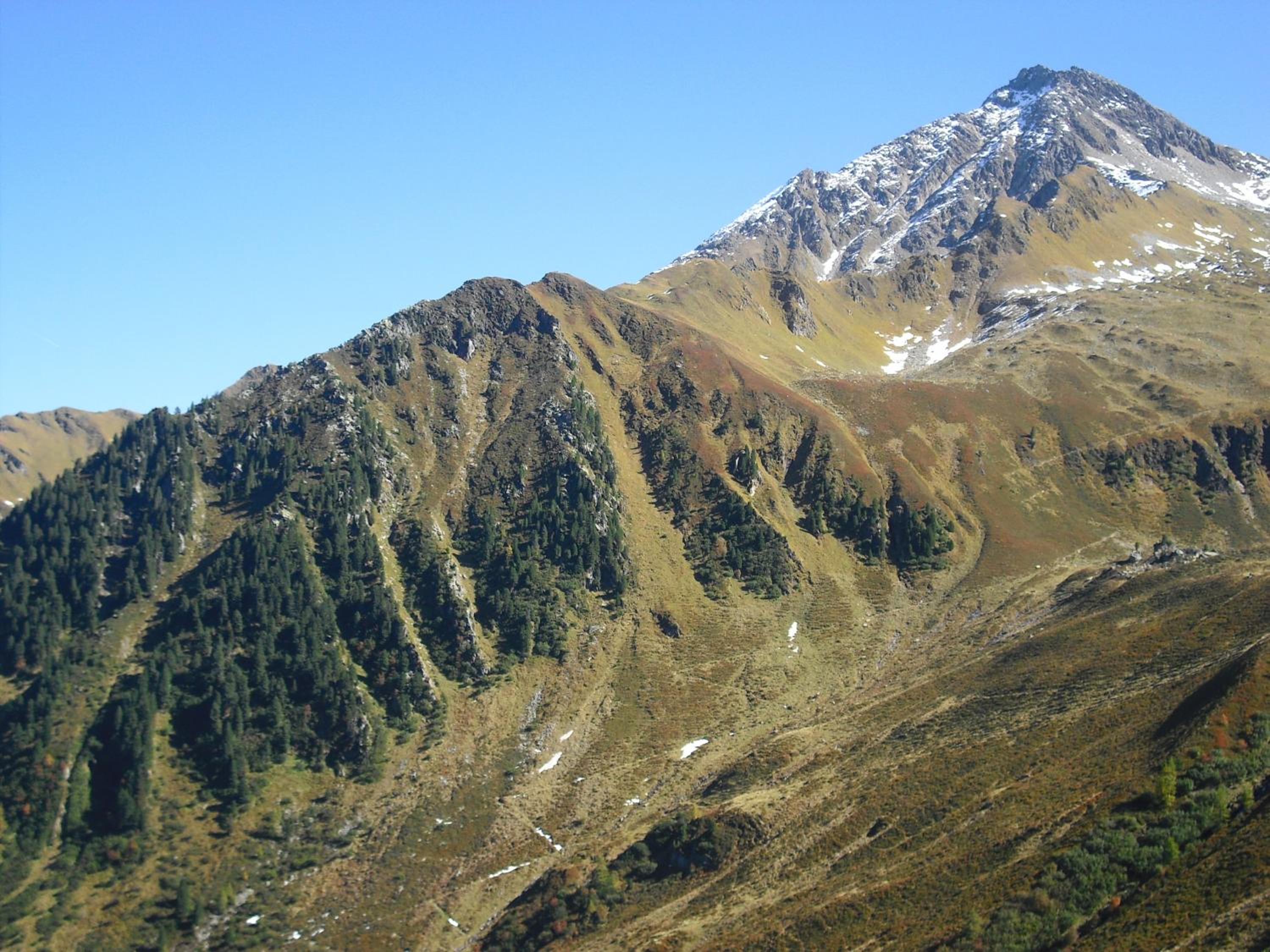 Photo 10