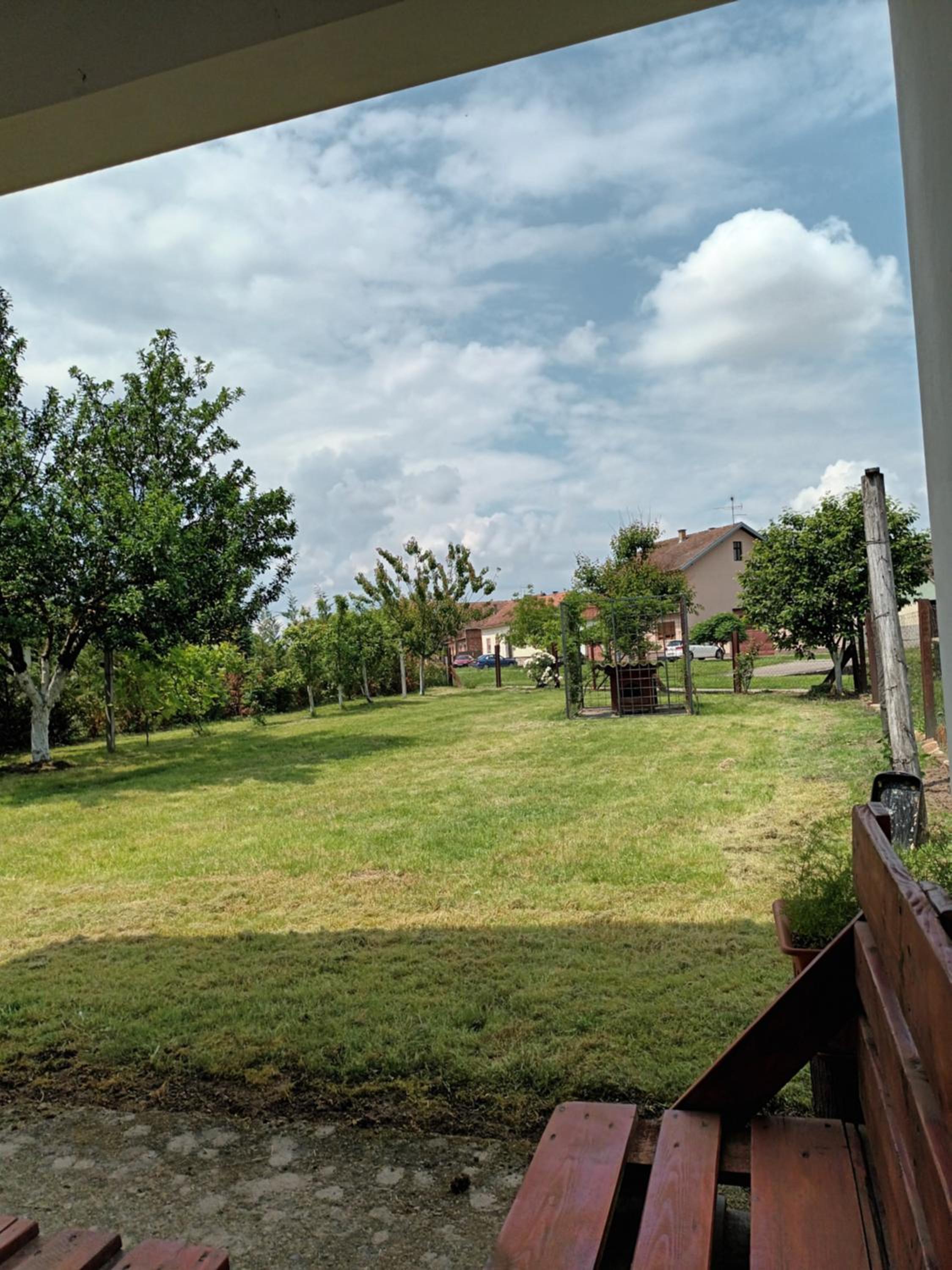 Photo 44