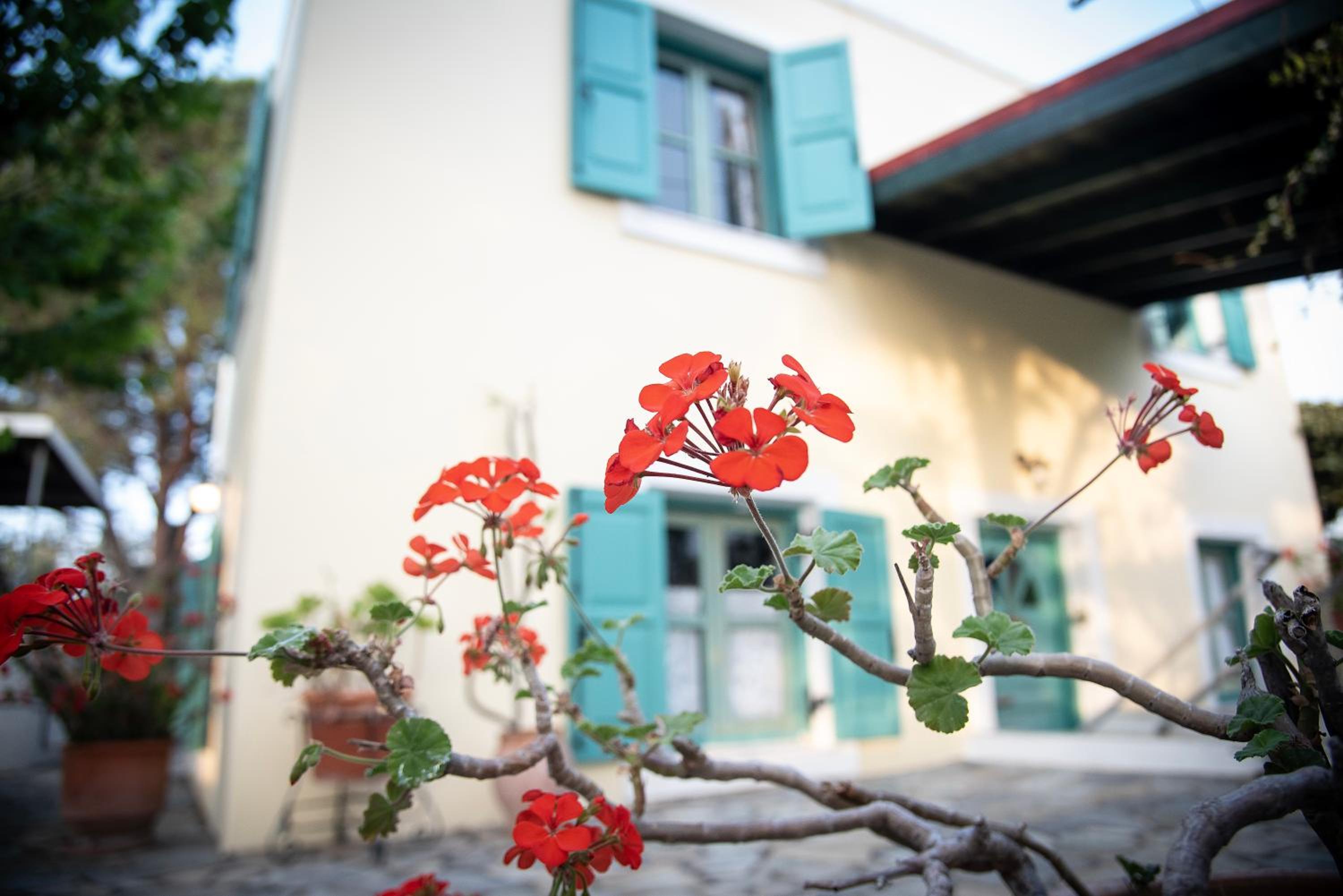 Kos Gaia Garden House view 5
