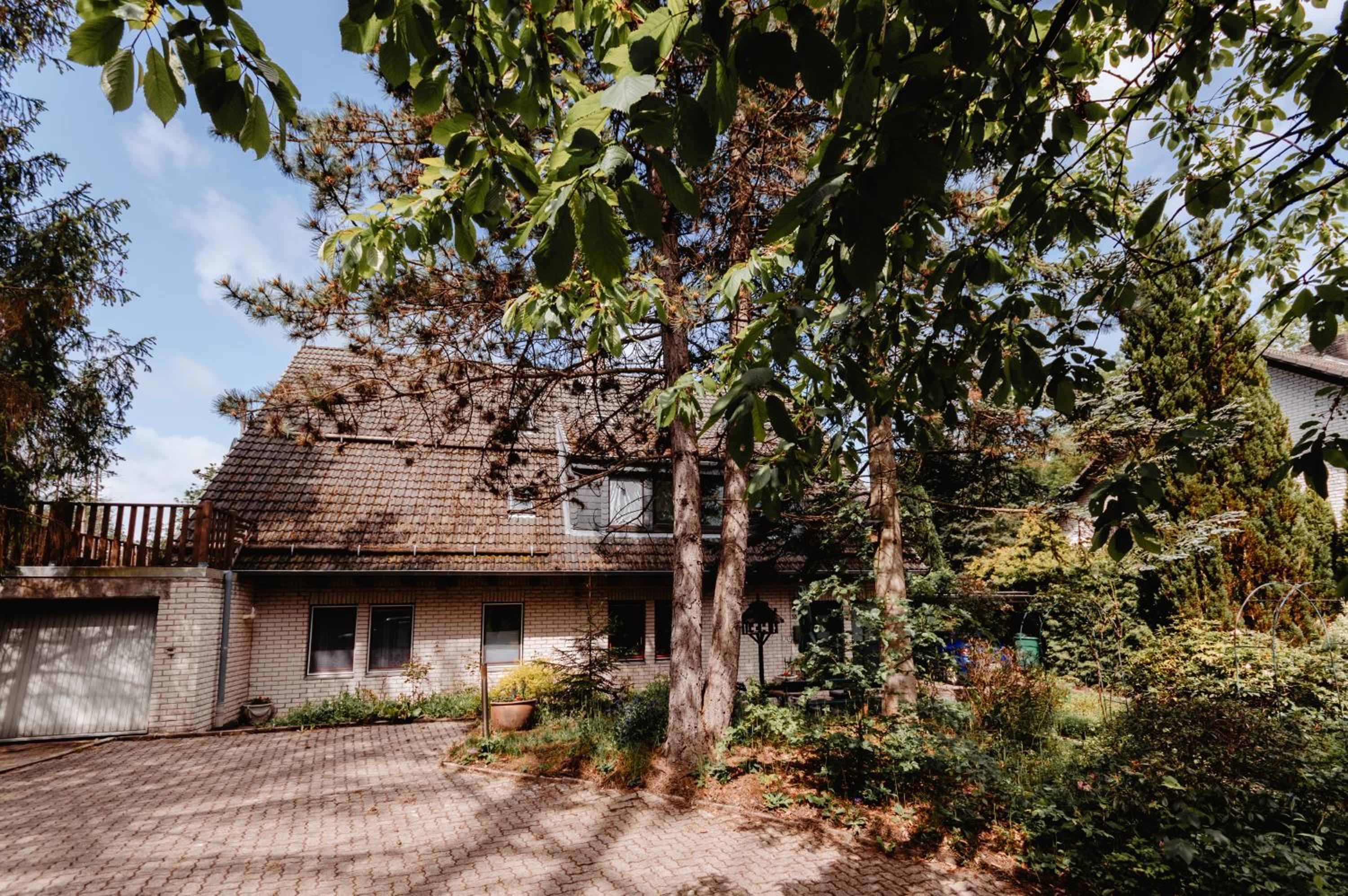 Olifant in Osterode