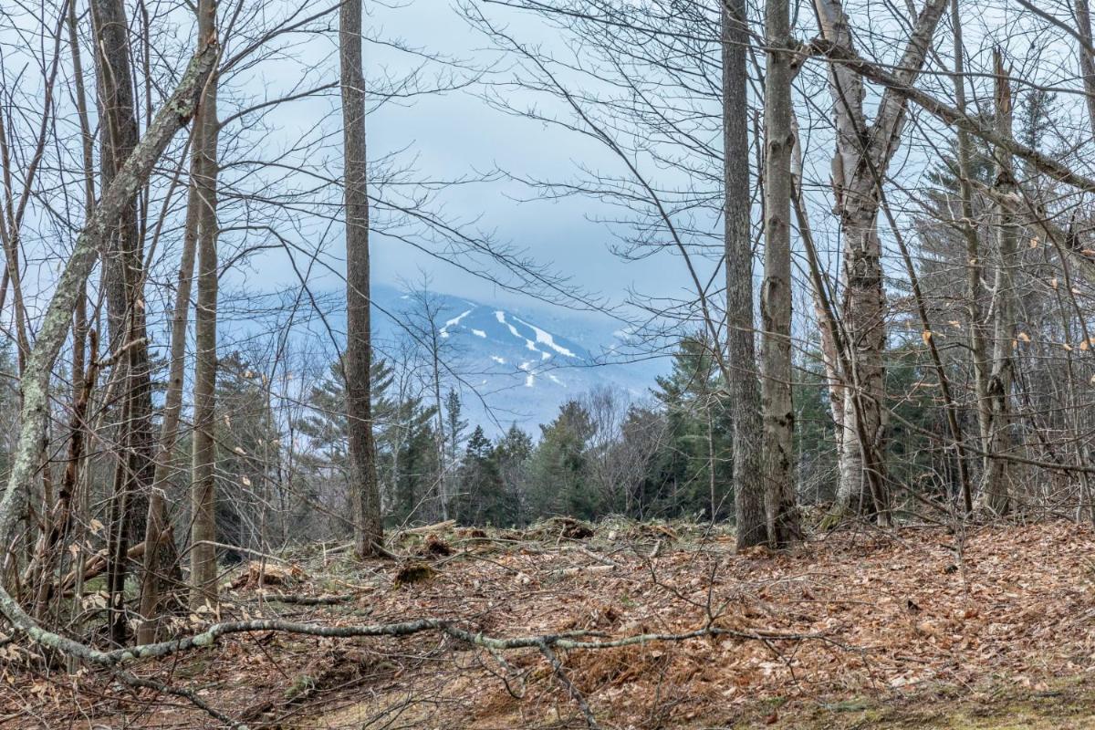 Mountainside at Stowe by CoolVacay